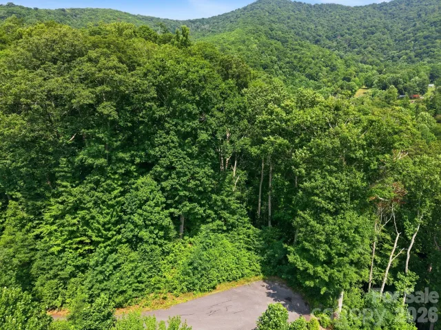 00 Triple Creek Drive