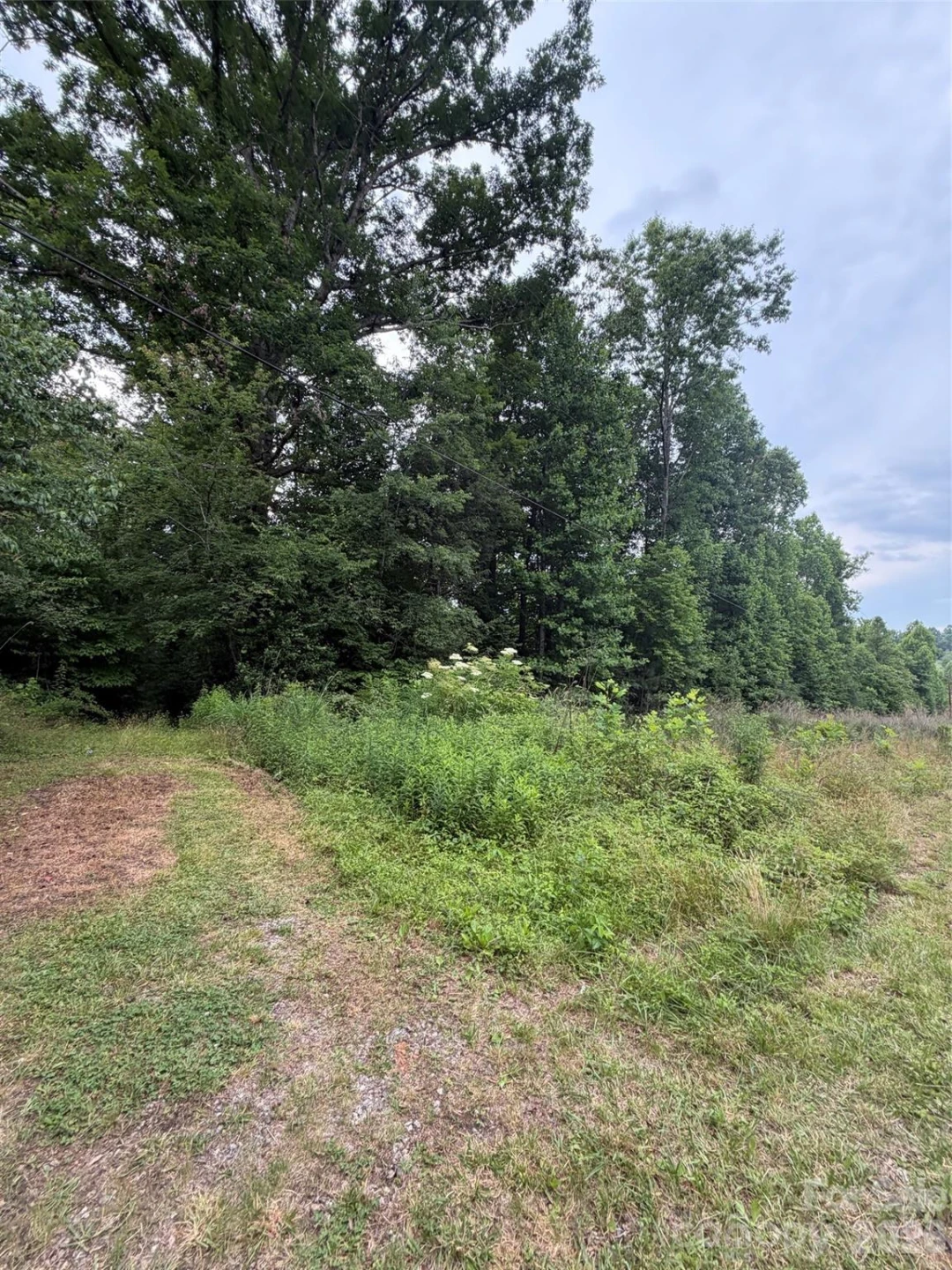 Lot 1 Parker Padgett Road - Photo 2