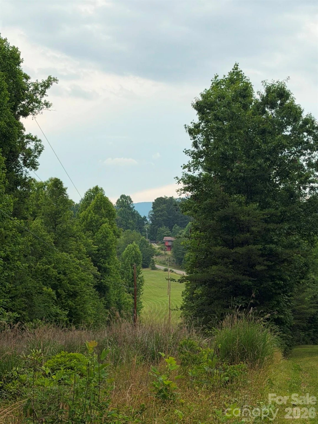 Lot 1 Parker Padgett Road - Photo 4