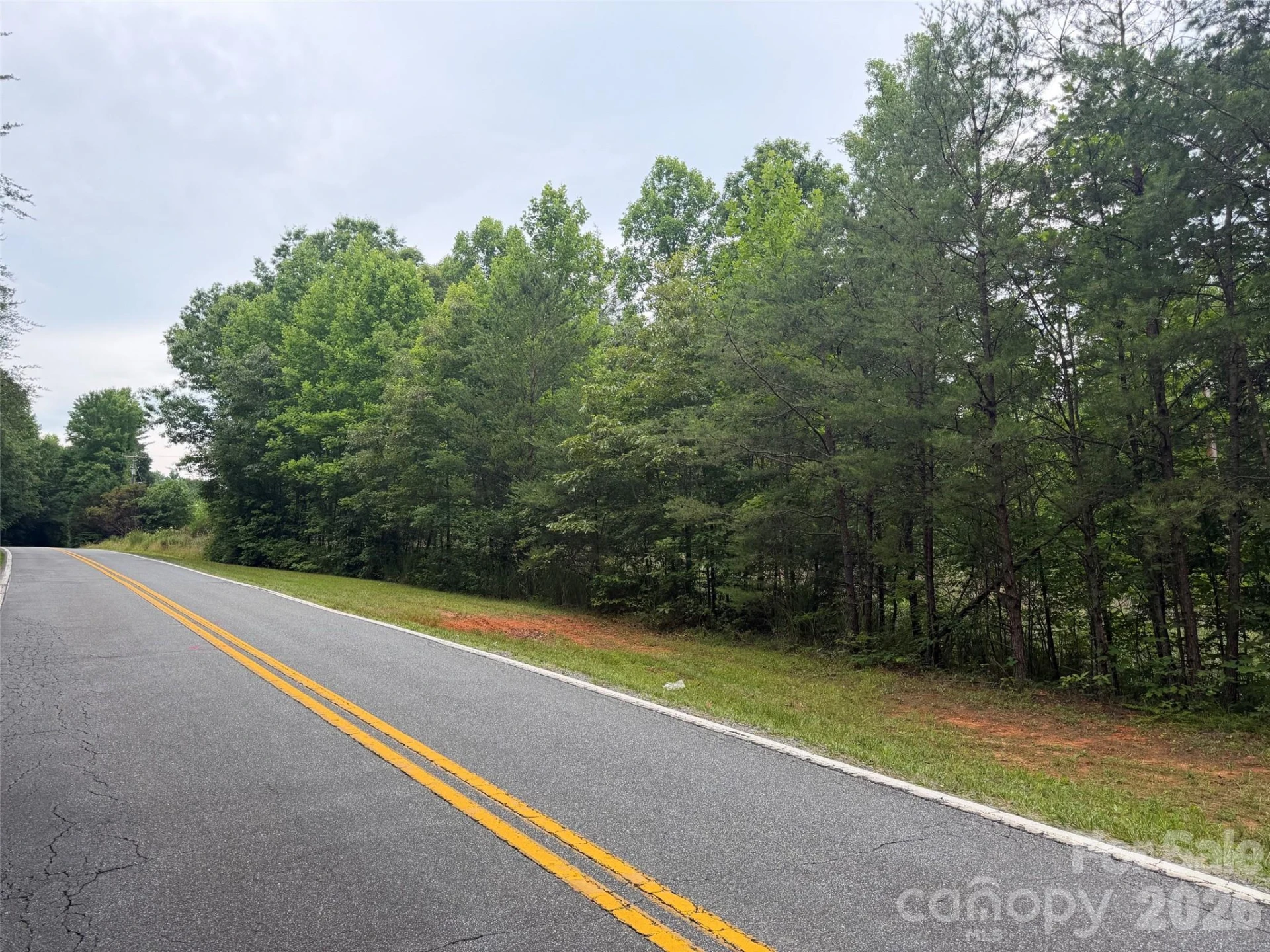 Lot 1 Parker Padgett Road - Photo 6