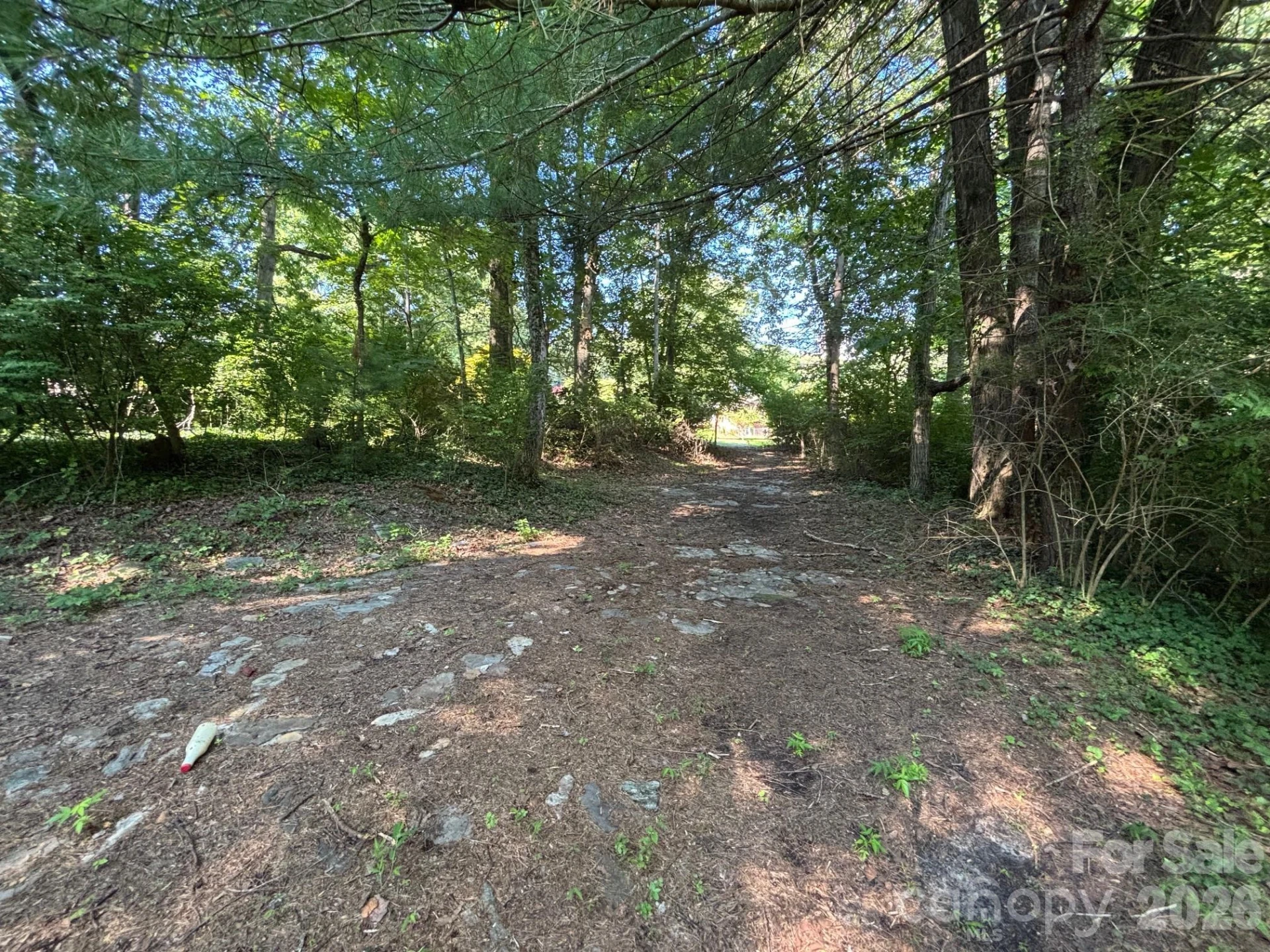 V/L Woodland Drive - Photo 7