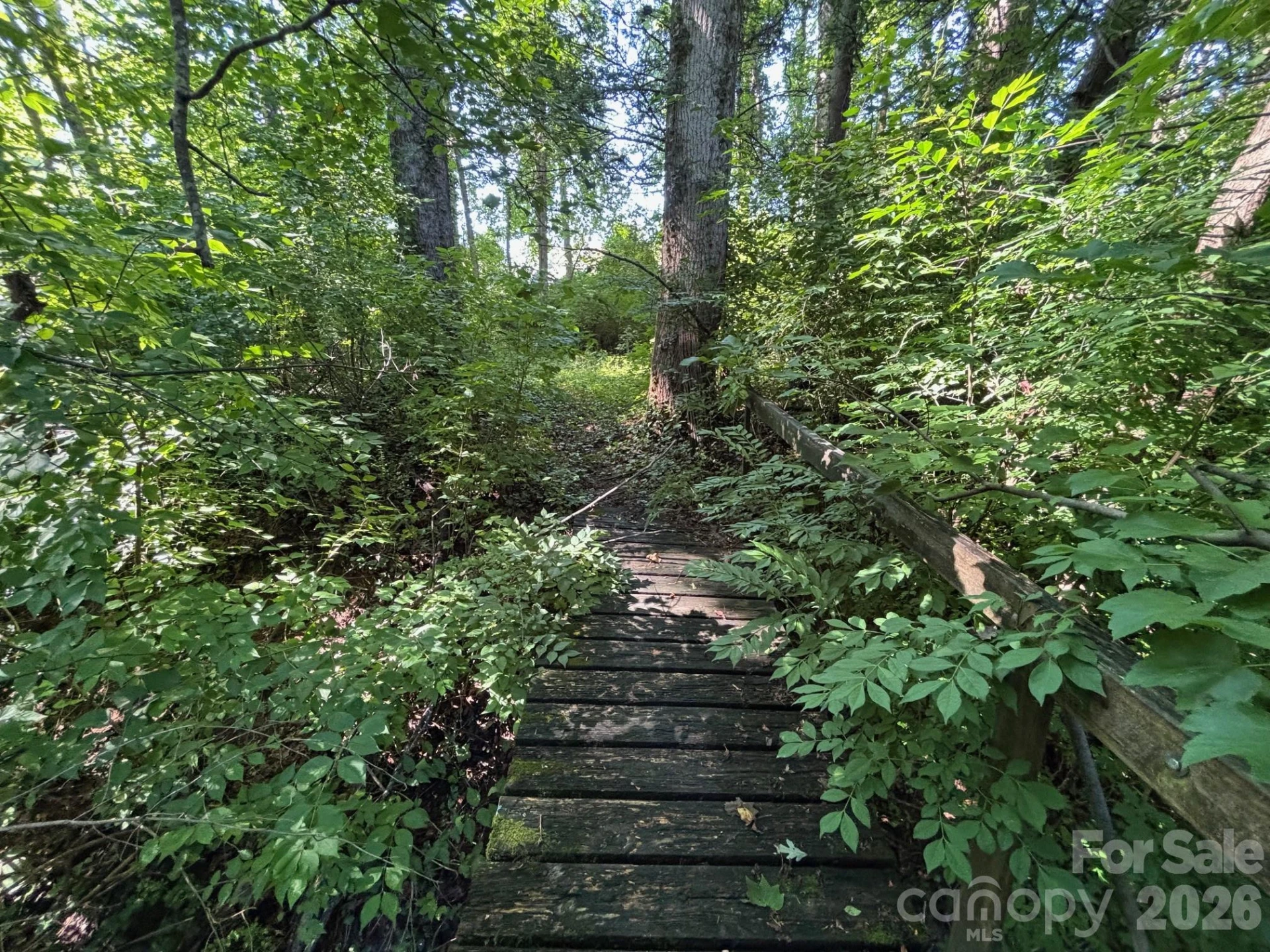 V/L Woodland Drive - Photo 9