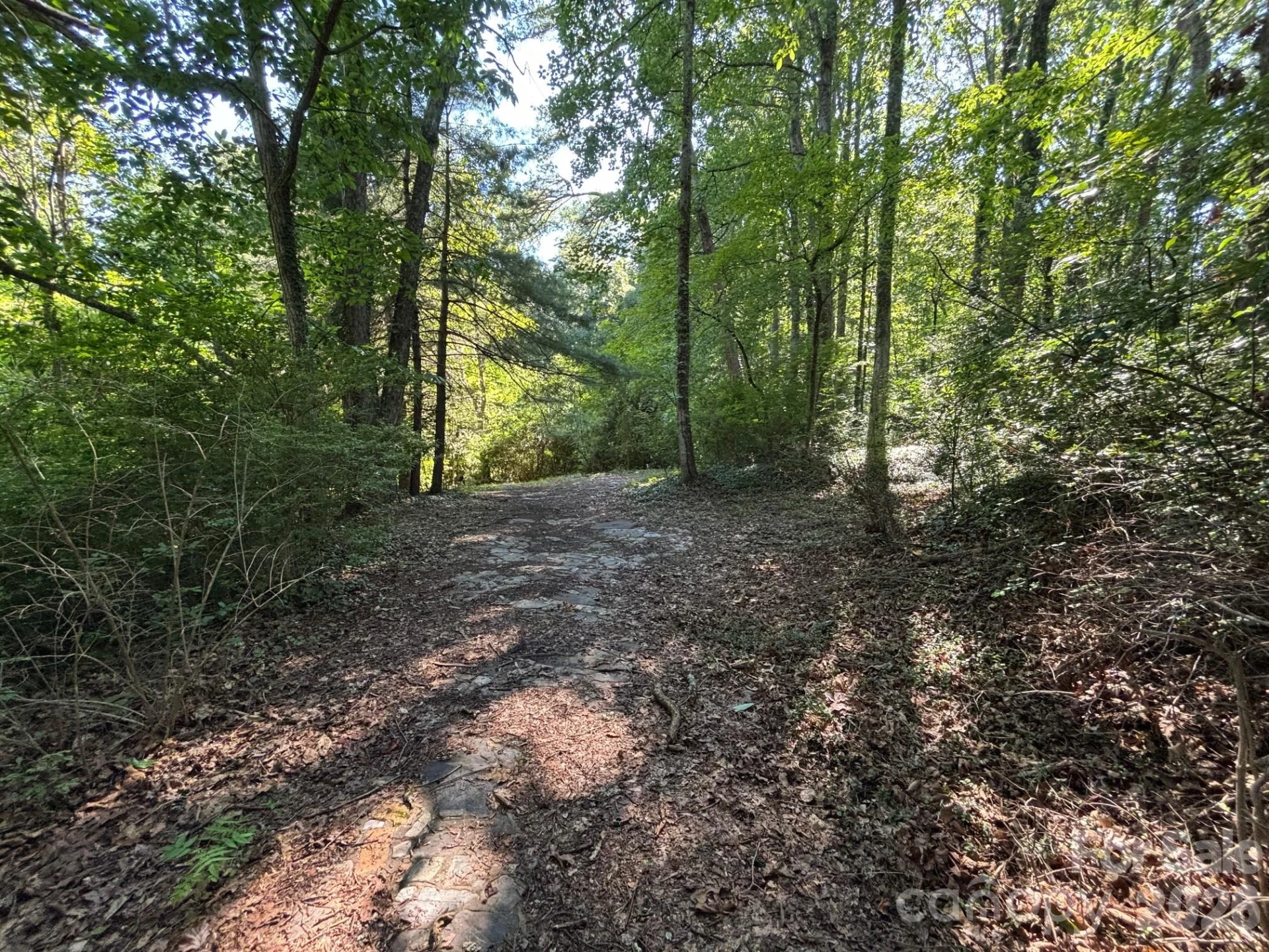 V/L Woodland Drive