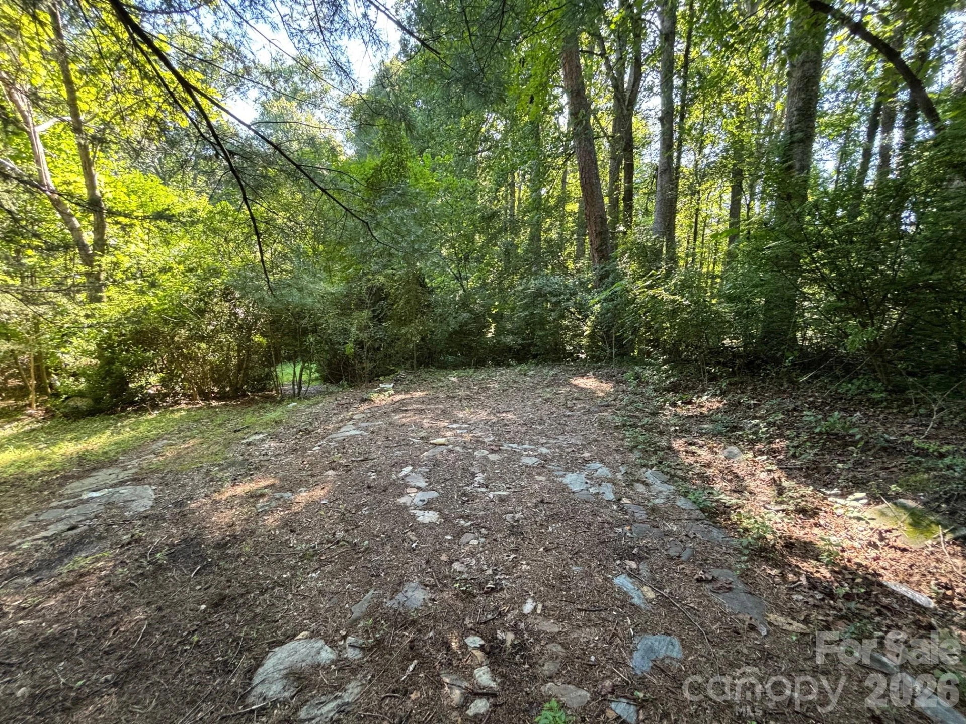 V/L Woodland Drive - Photo 10