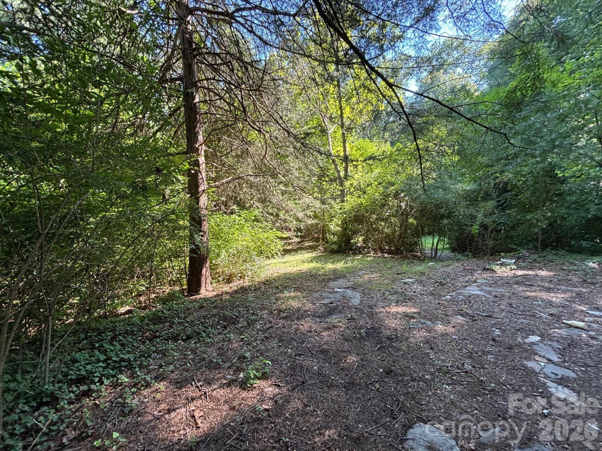 V/L Woodland Drive - Photo 2