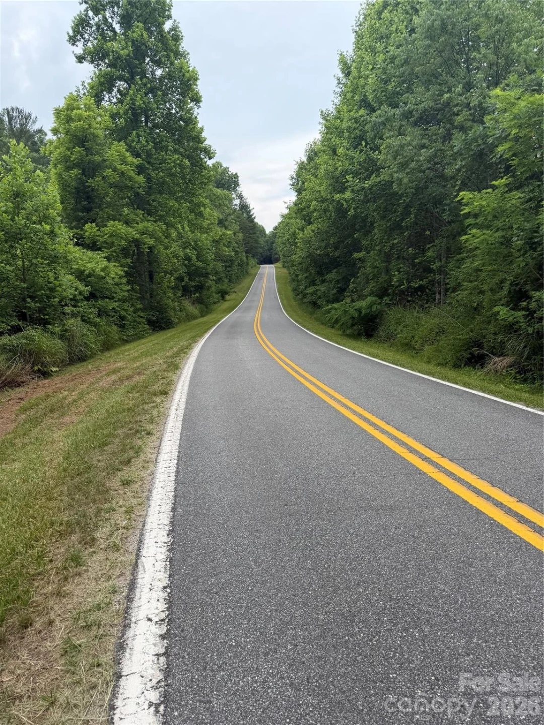 Lot 2 Parker Padgett Road - Photo 2