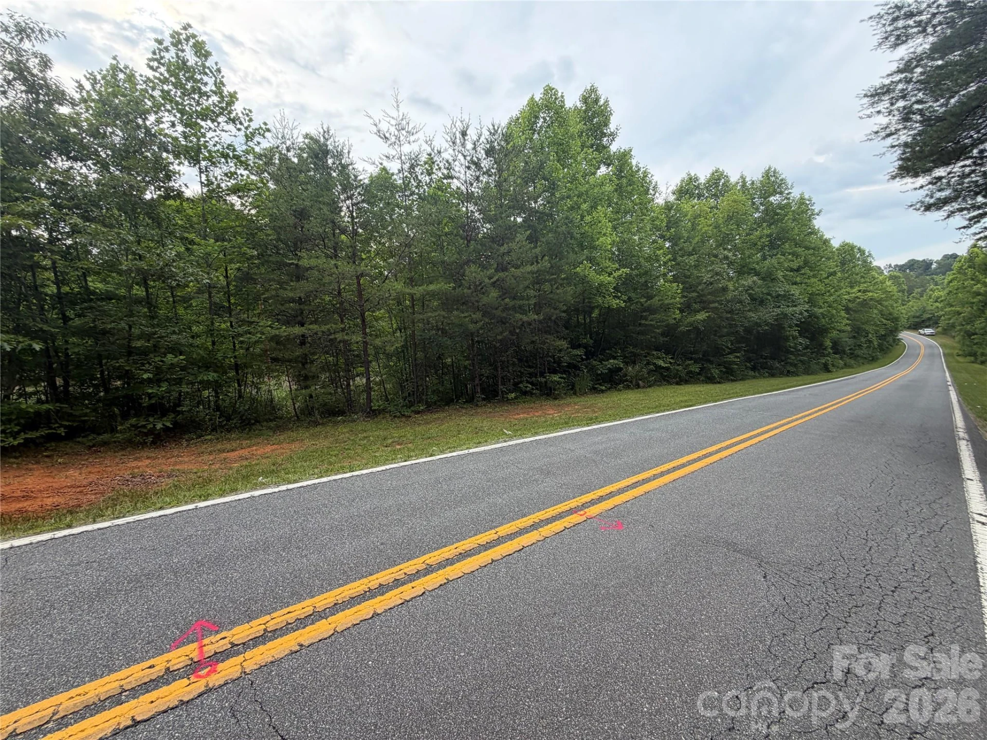 Lot 2 Parker Padgett Road - Photo 3