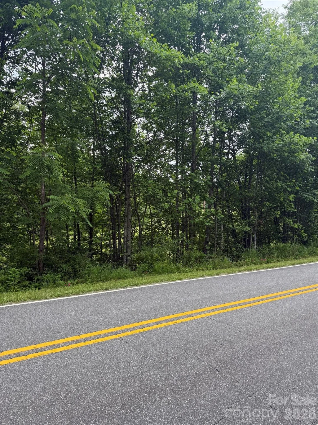 Lot 3 Parker Padgett Road - Photo 2