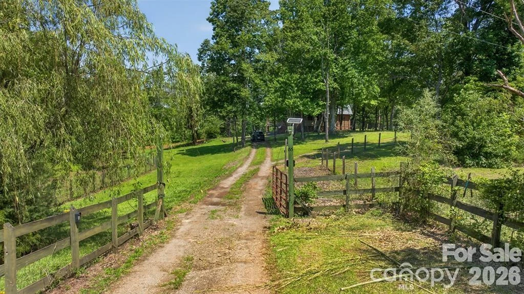 66 Misery Ridge None - Photo 4