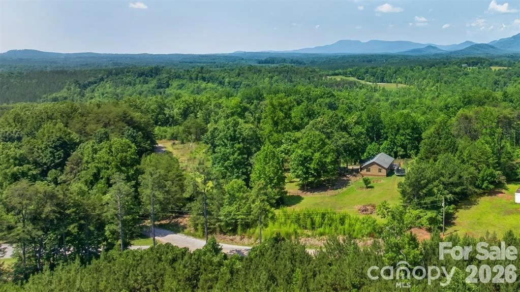 66 Misery Ridge None - Photo 37