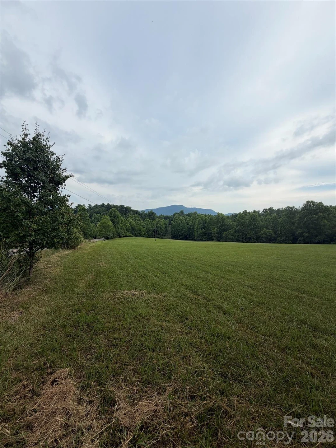 Lot 5 Parker Padgett Road - Photo 10