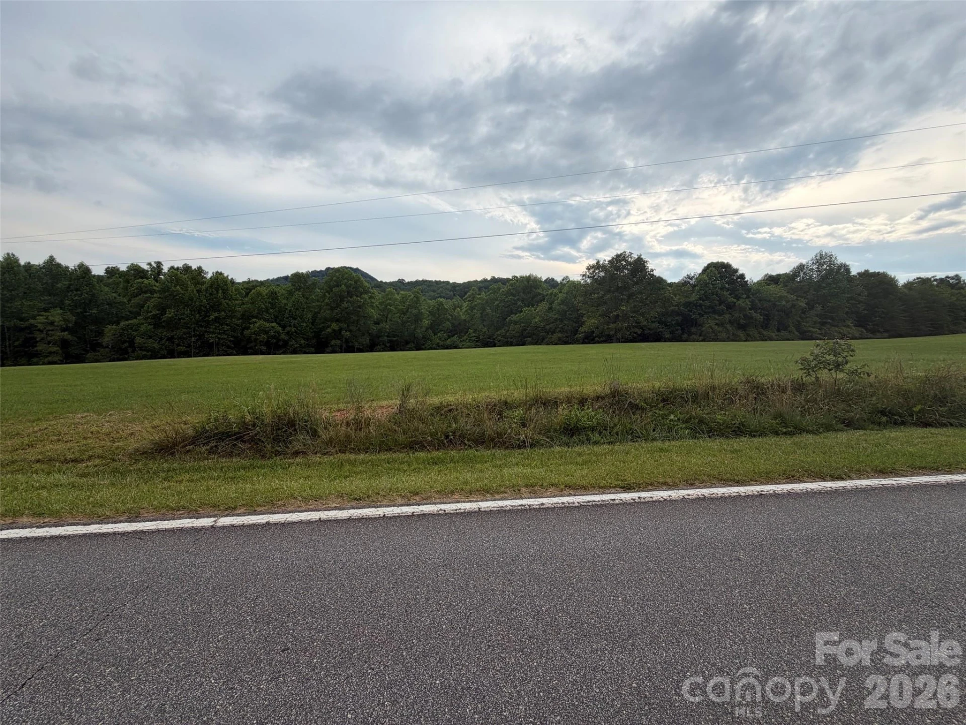 Lot 5 Parker Padgett Road - Photo 11