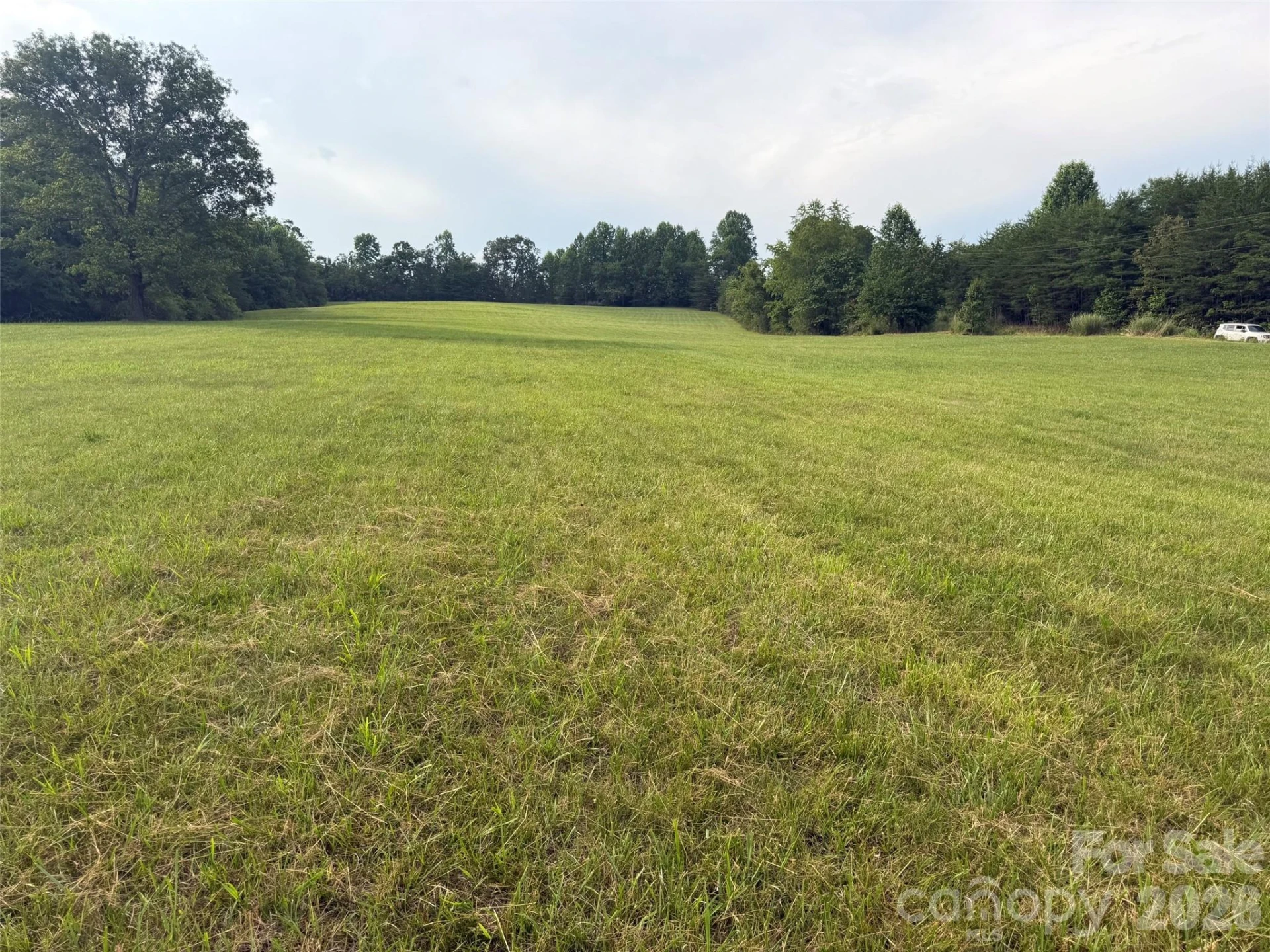 Lot 5 Parker Padgett Road - Photo 2