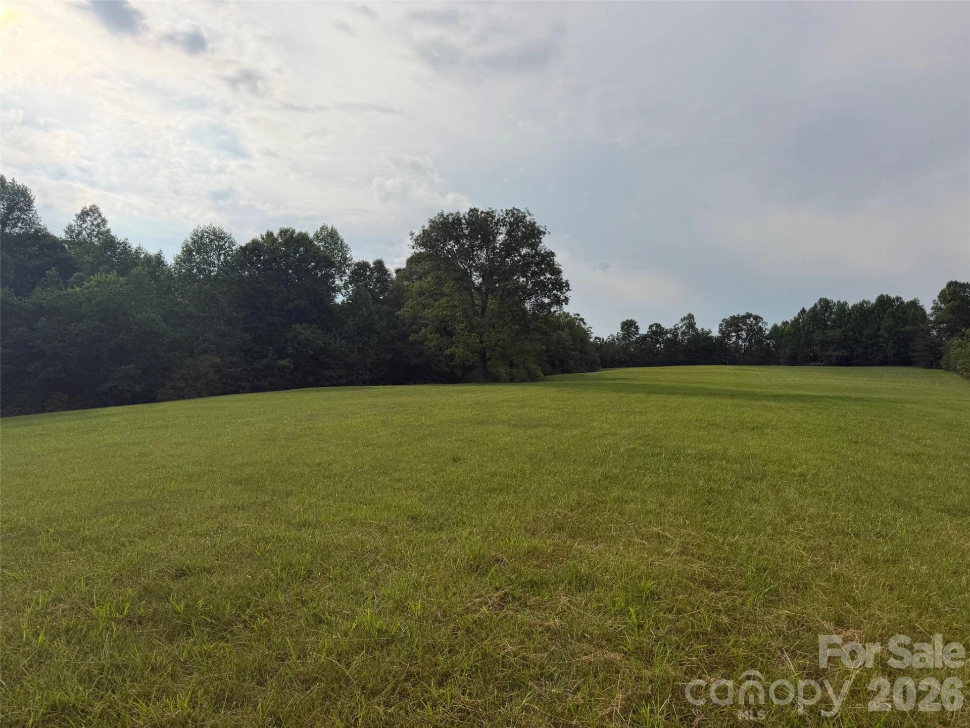 Lot 5 Parker Padgett Road - Photo 3
