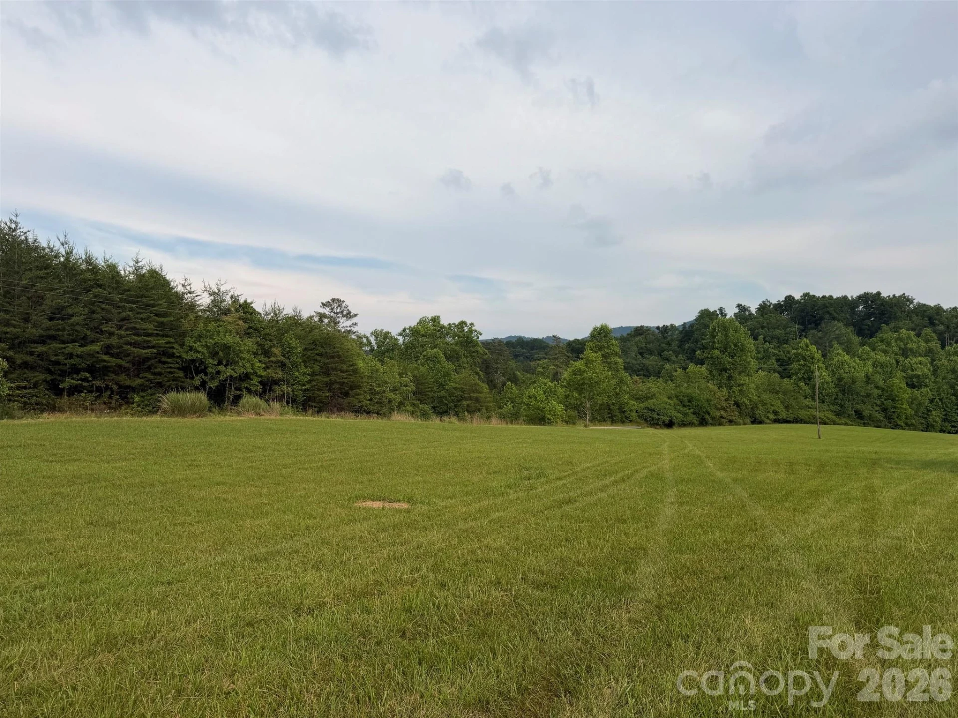 Lot 5 Parker Padgett Road - Photo 4