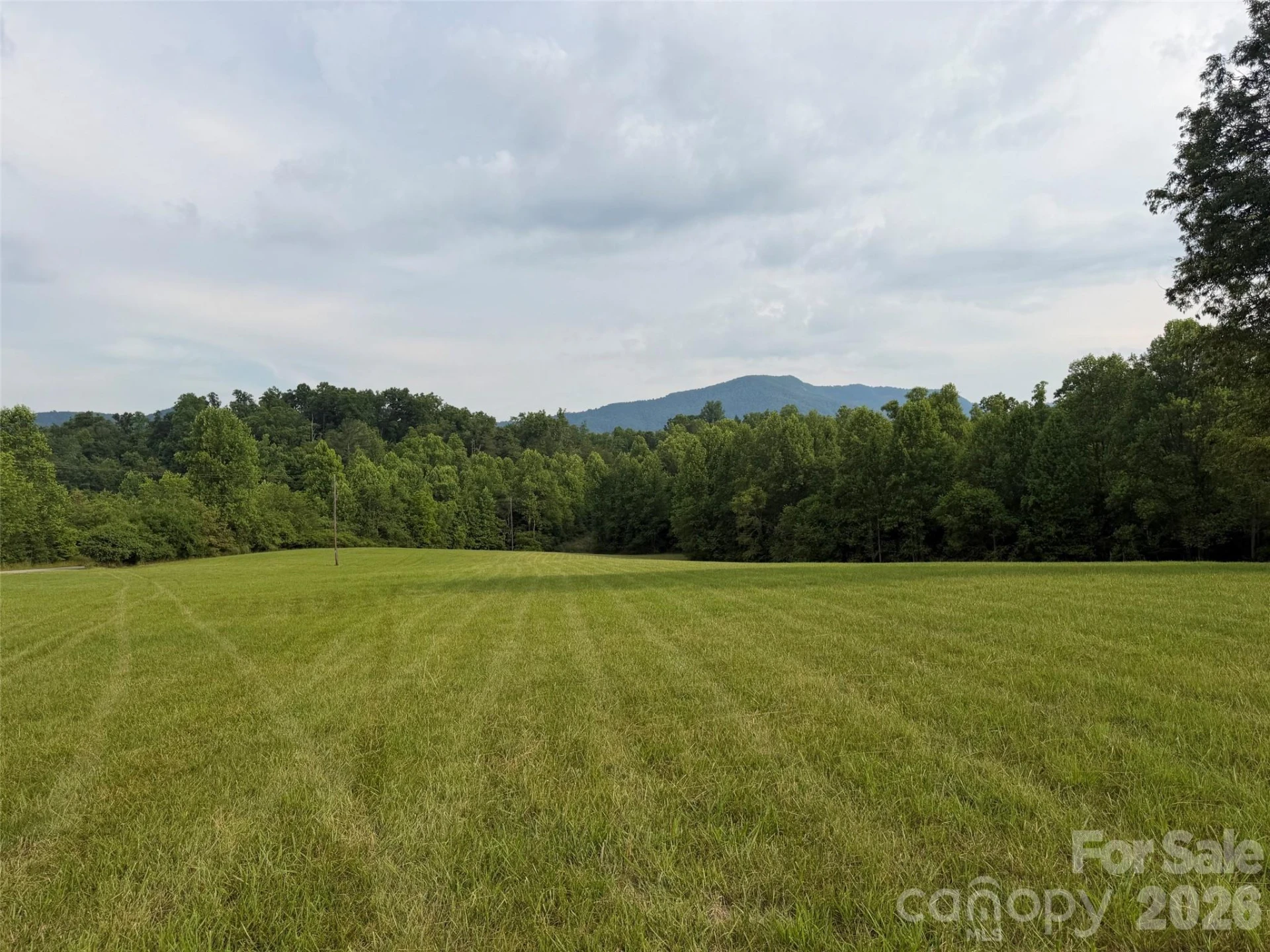 Lot 5 Parker Padgett Road - Photo 5