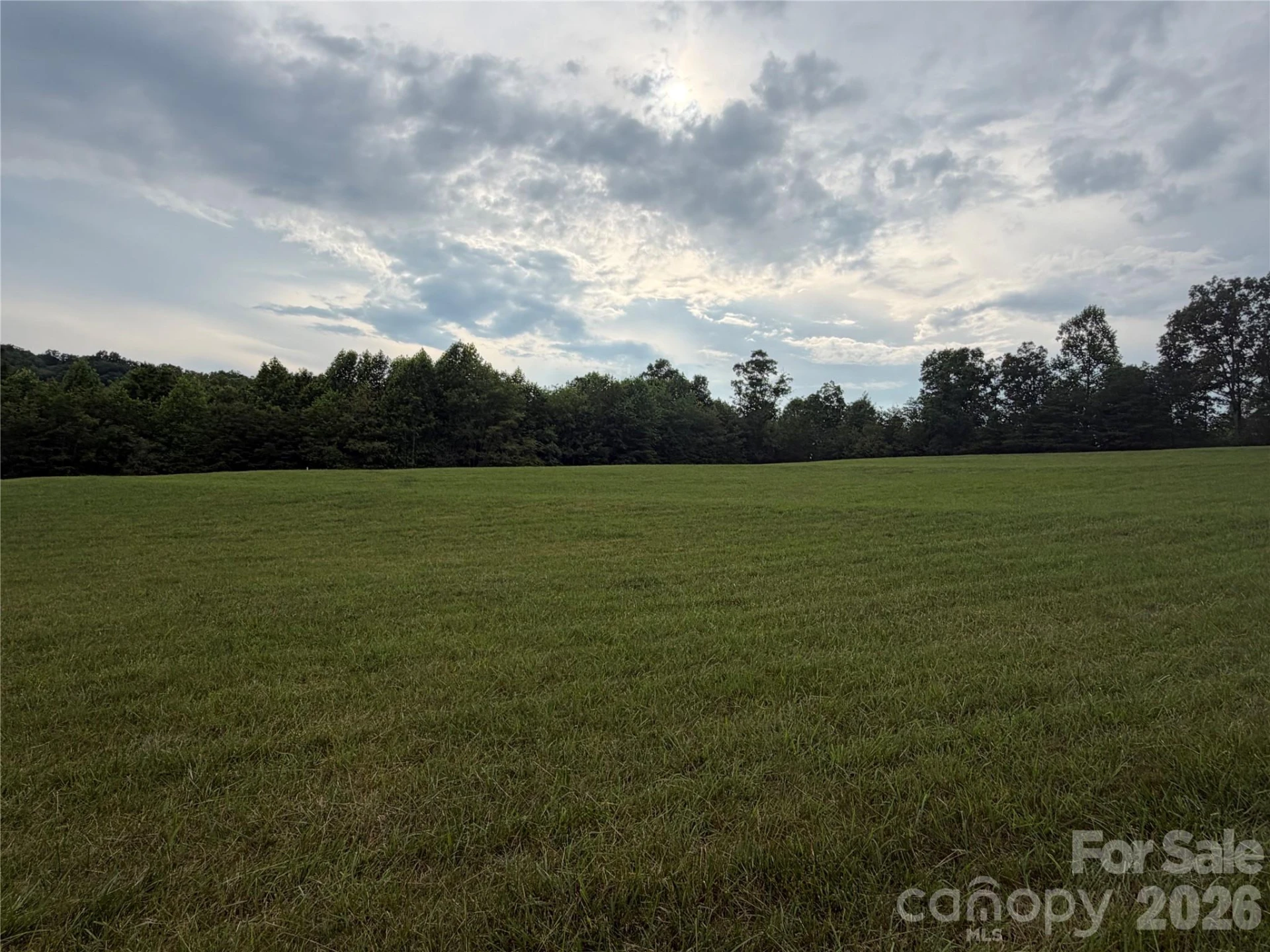 Lot 5 Parker Padgett Road - Photo 6