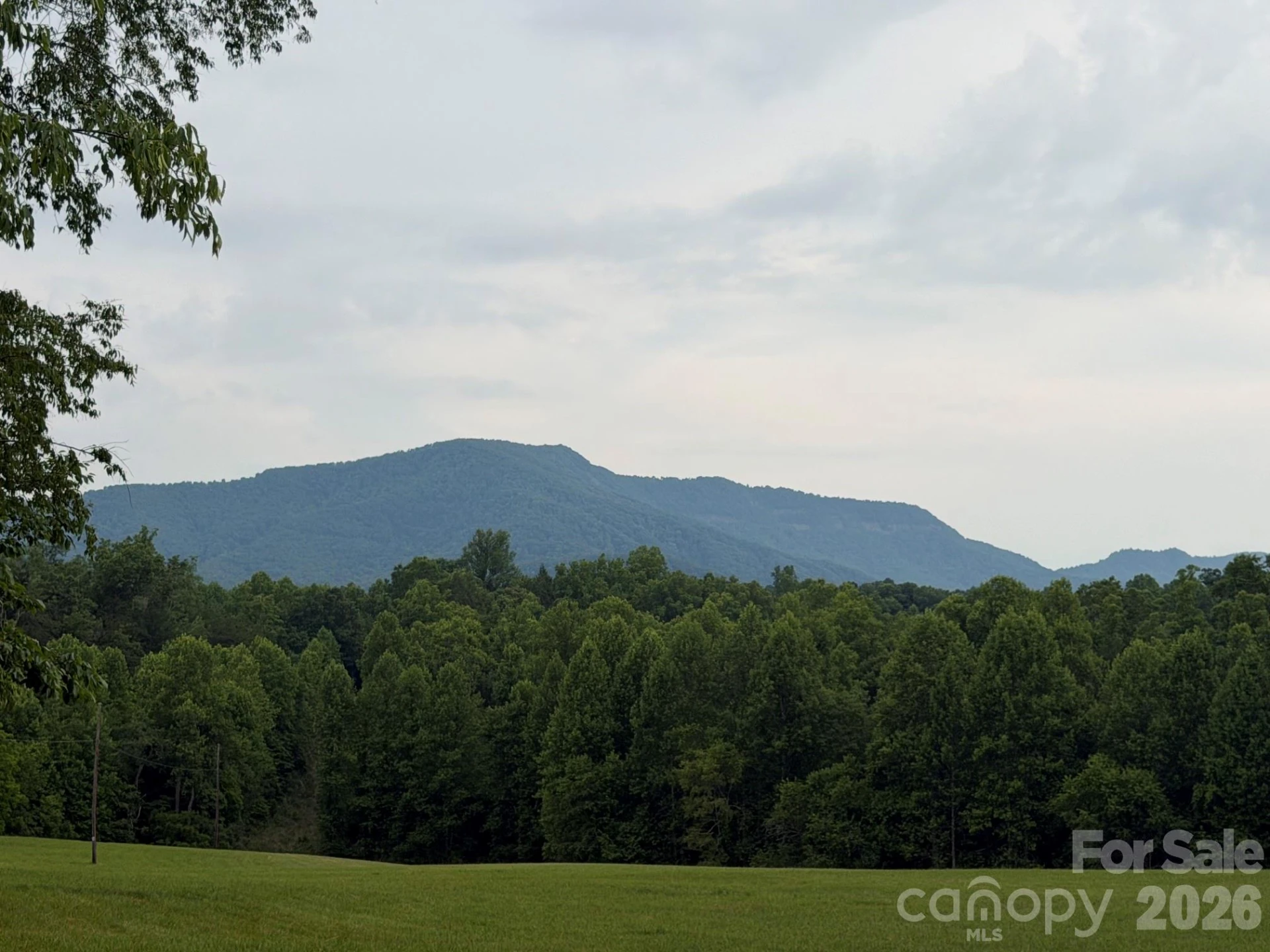 Lot 5 Parker Padgett Road - Photo 7