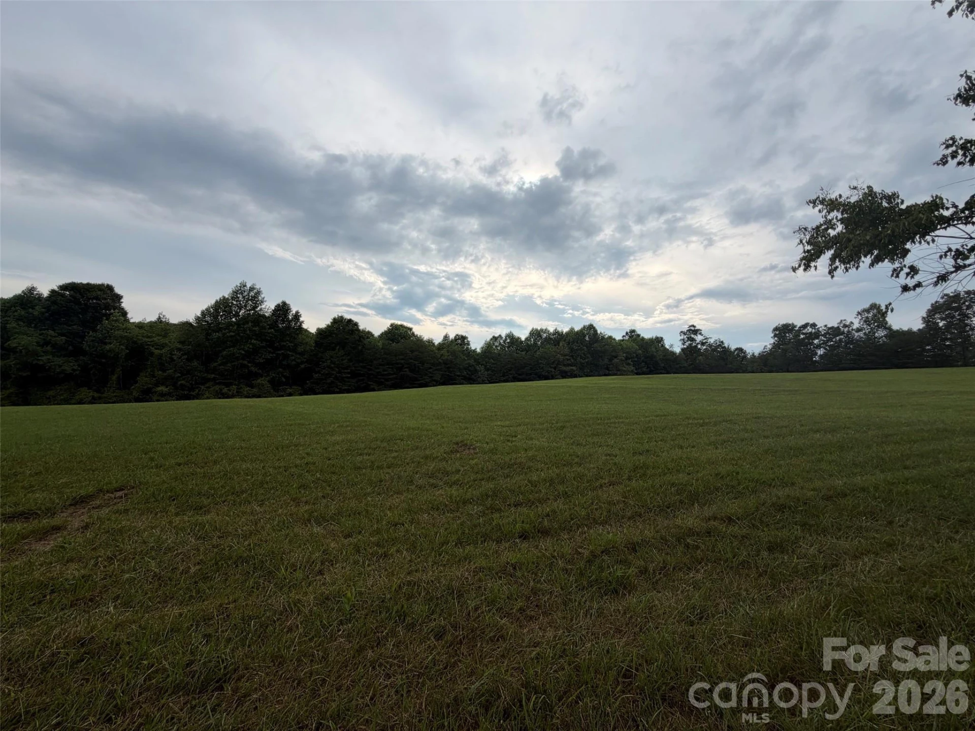 Lot 5 Parker Padgett Road - Photo 8