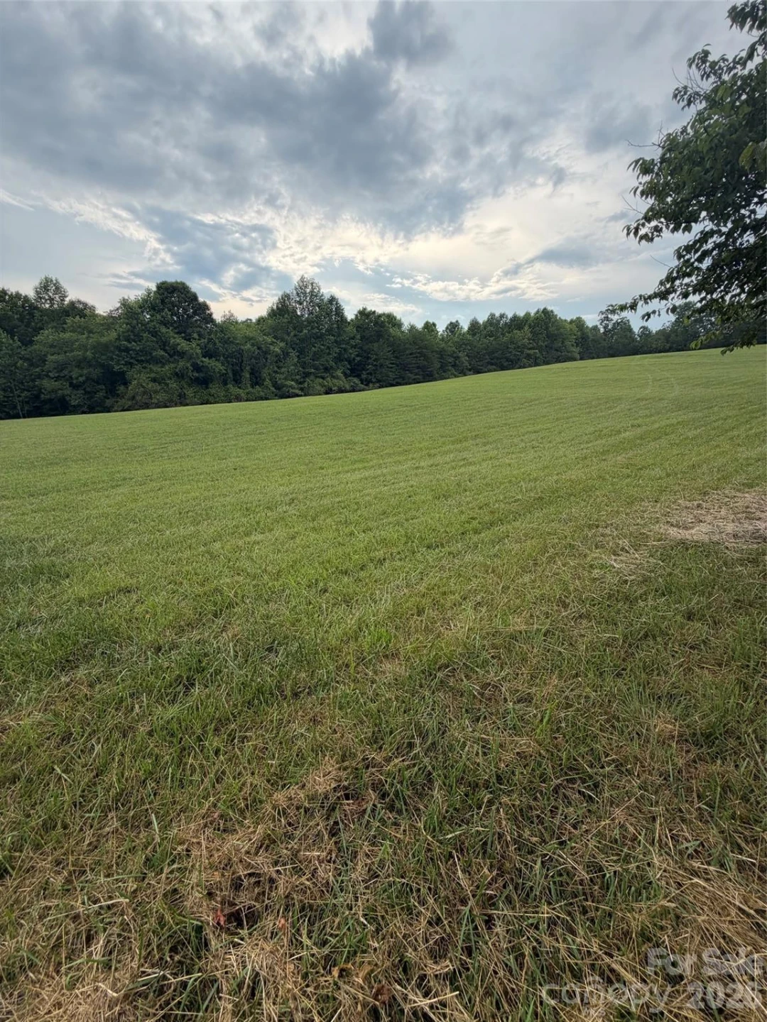 Lot 5 Parker Padgett Road - Photo 9