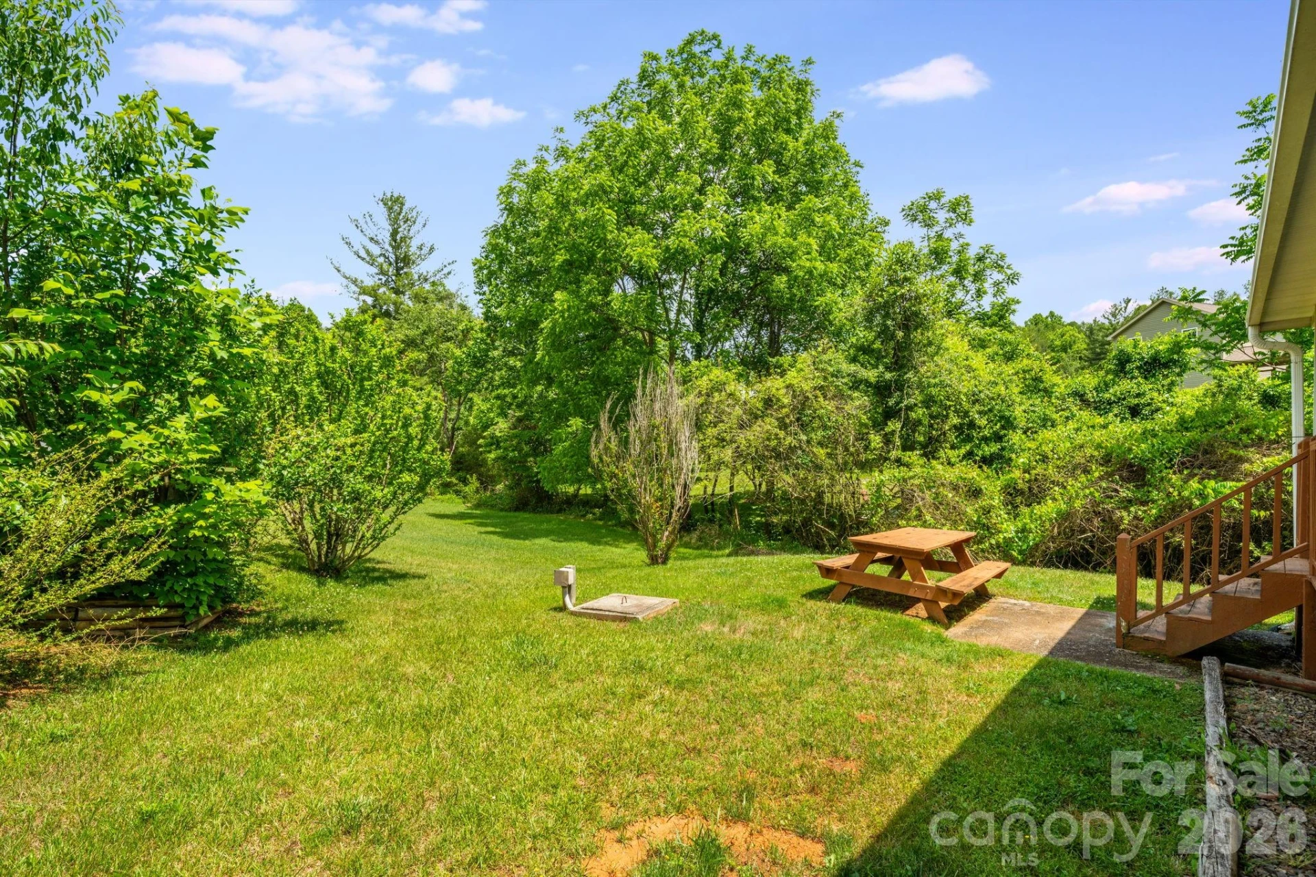 234 White Clover Lane - Photo 26