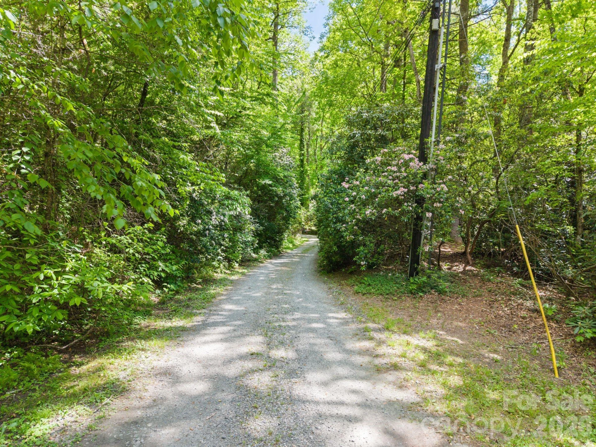 37 Hicks Lake Drive - Photo 19