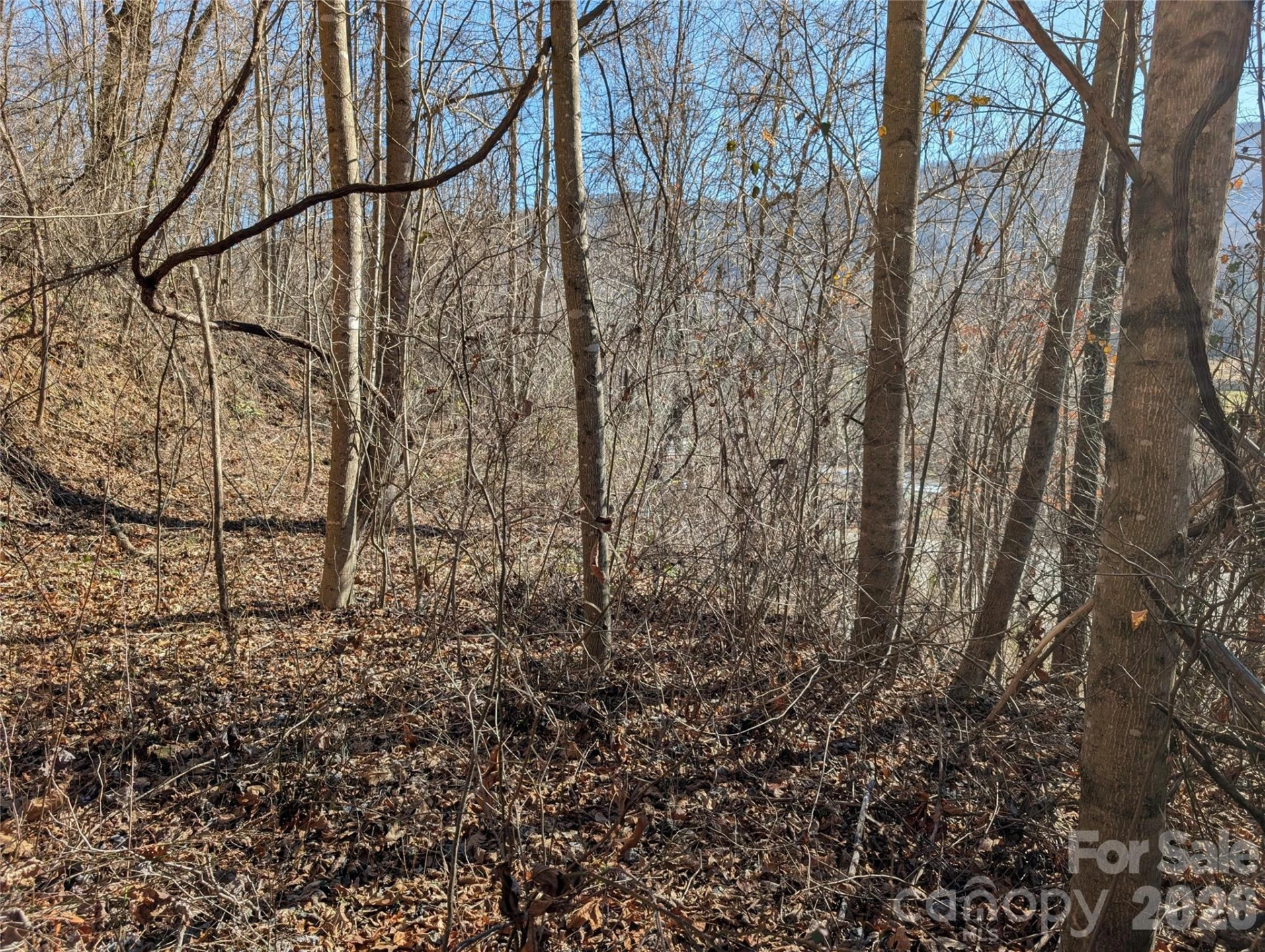 00 Great Smoky Mountain Expy Highway - Photo 4