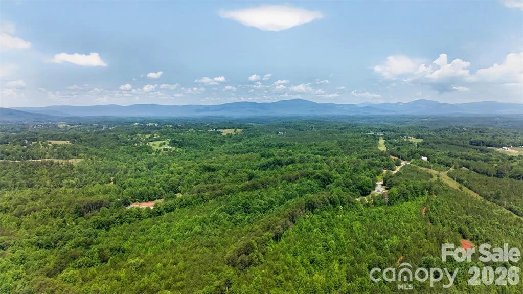 66 Misery Ridge Trail - Photo 38