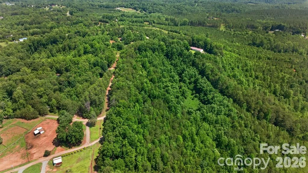 66 Misery Ridge Trail - Photo 40