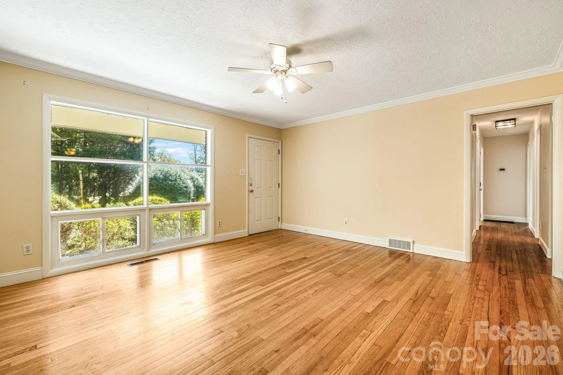 26 Elkmont Drive - Photo 6