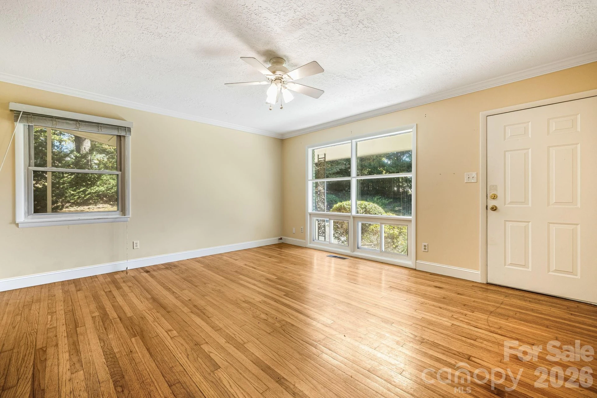 26 Elkmont Drive - Photo 8