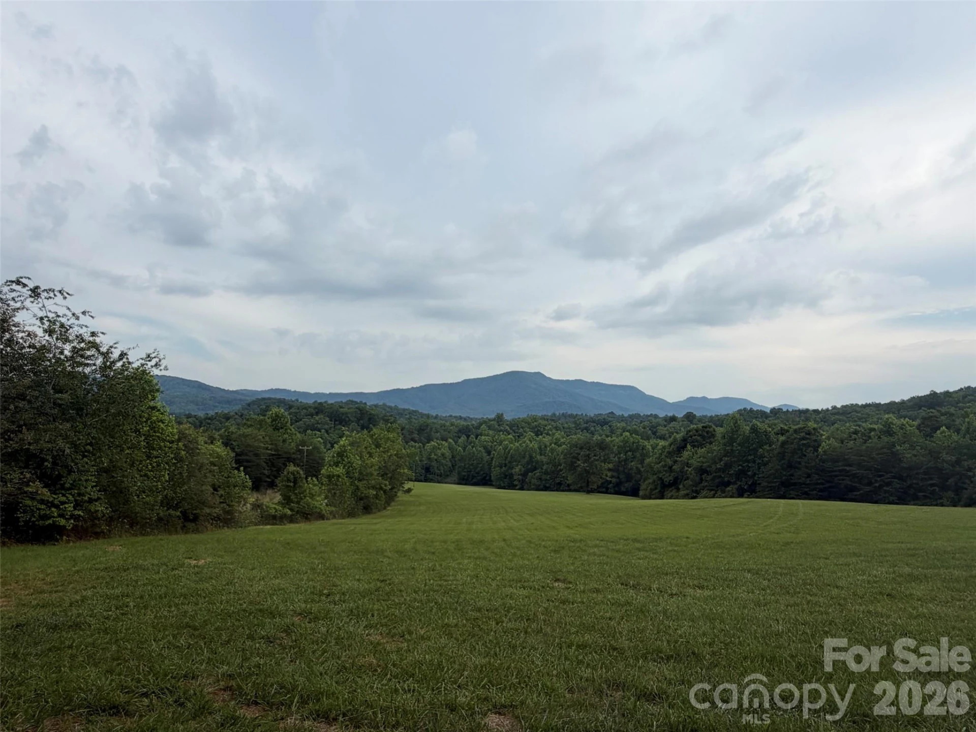Lot 7 Parker Padgett Road - Photo 10