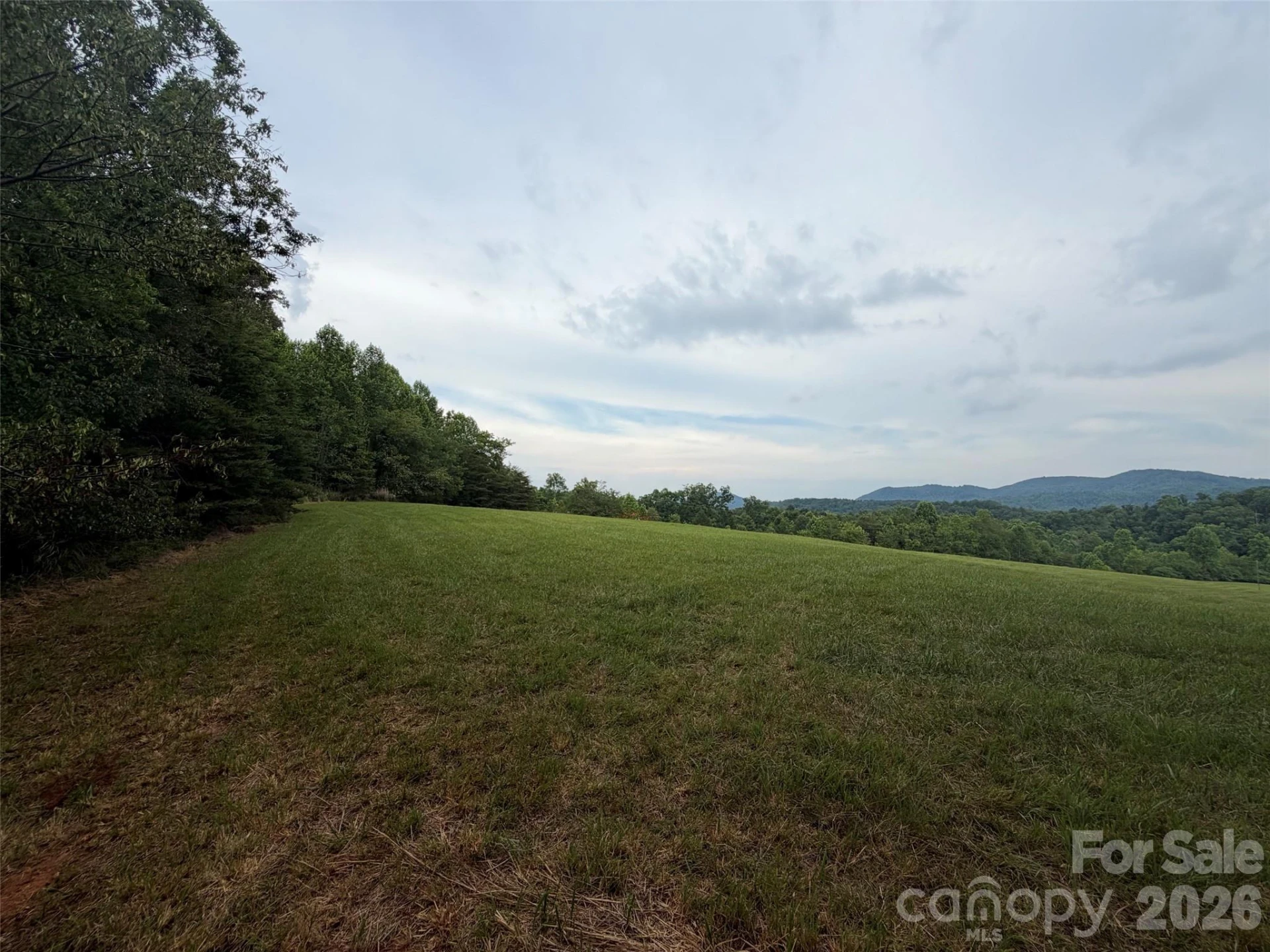 Lot 7 Parker Padgett Road - Photo 3