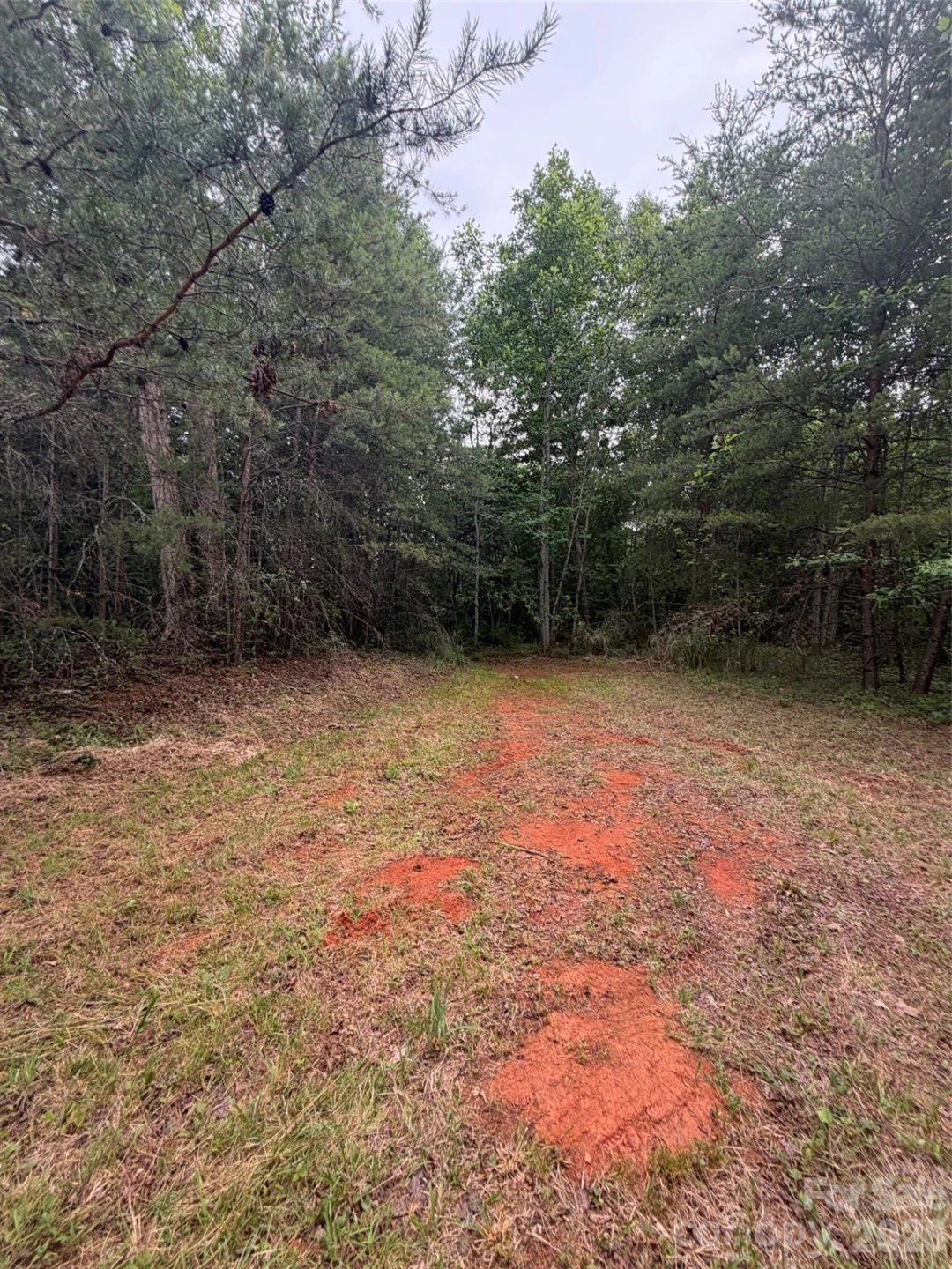 Lot 7 Parker Padgett Road - Photo 4