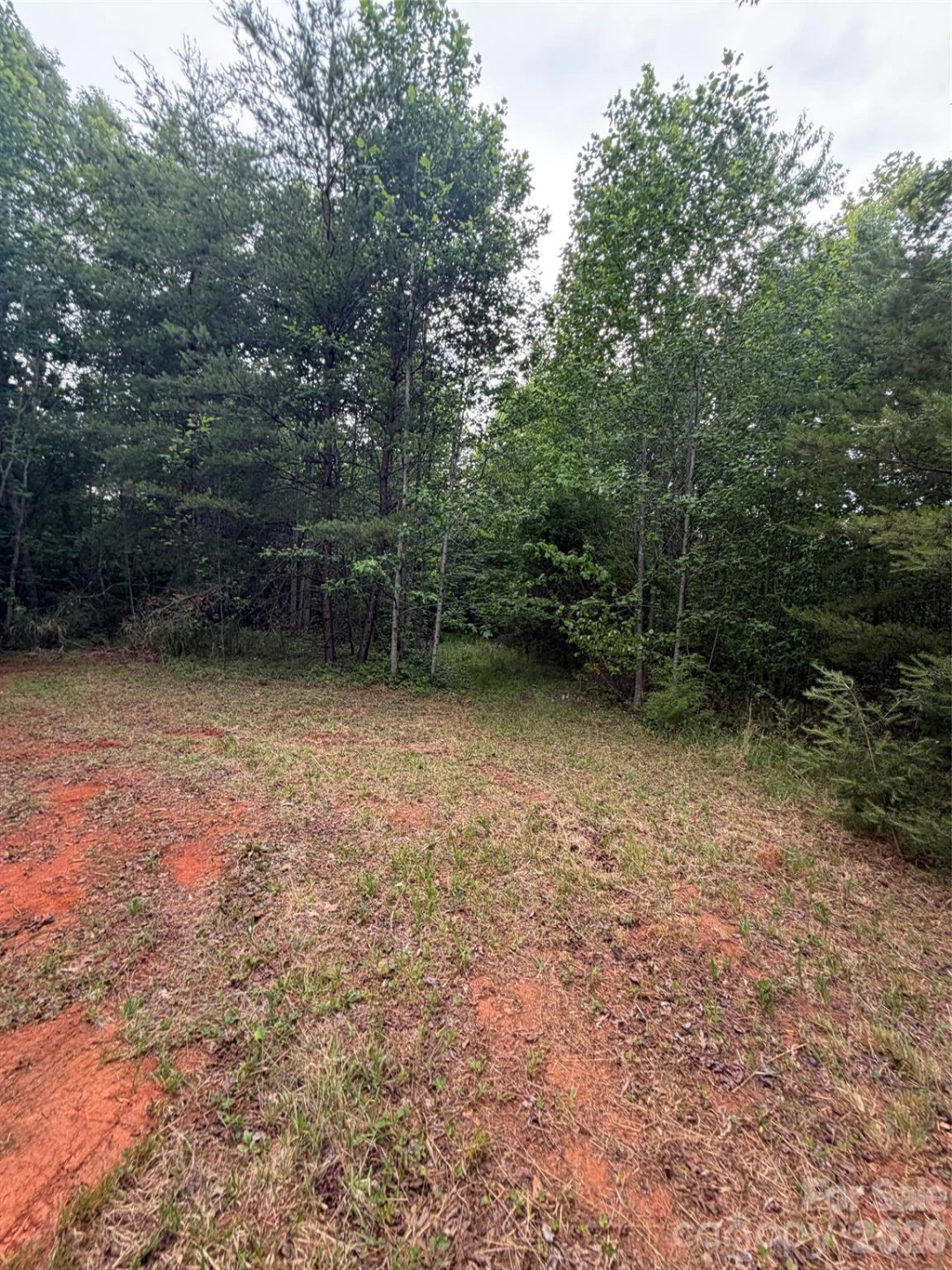 Lot 7 Parker Padgett Road - Photo 5