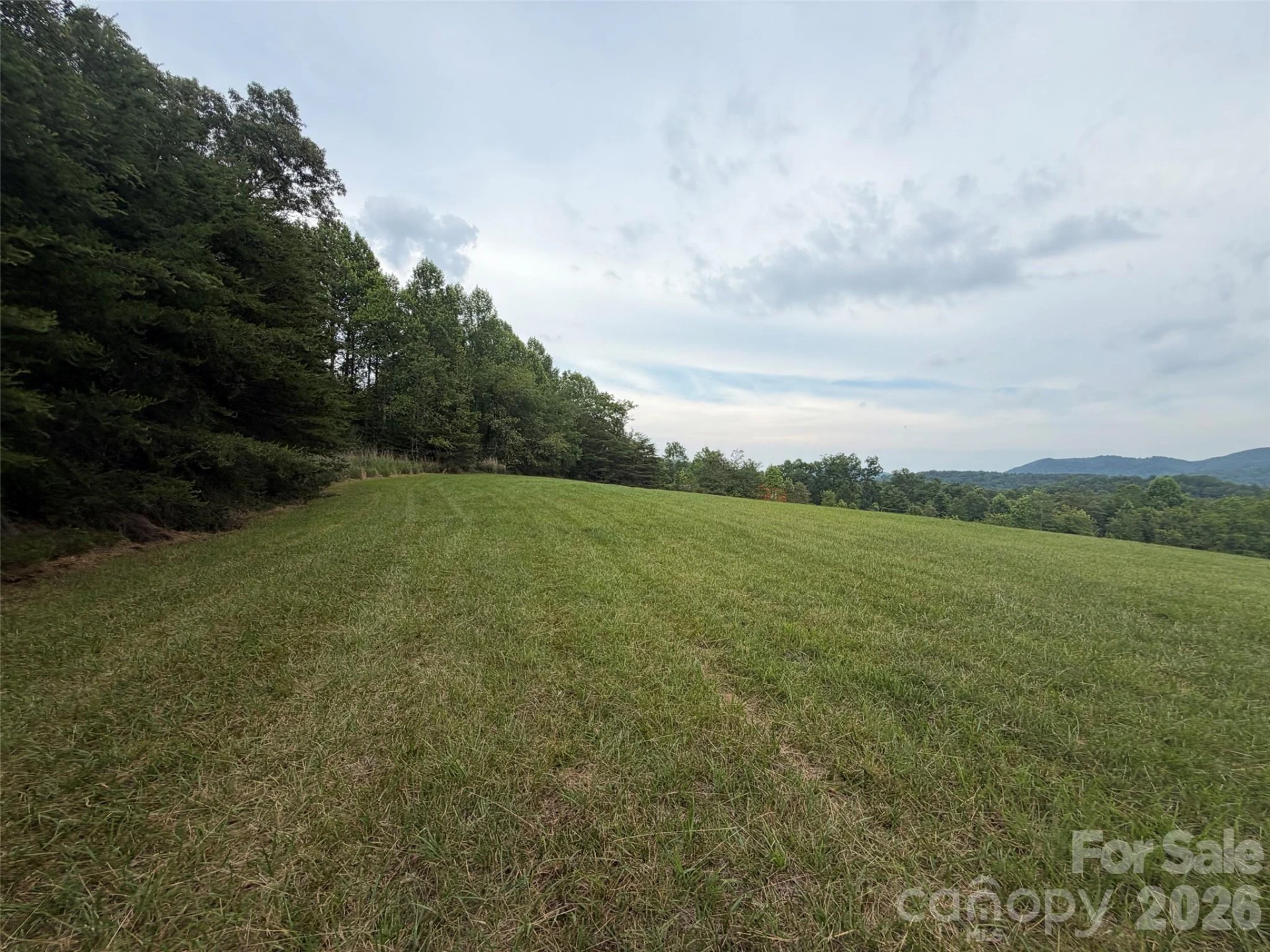 Lot 7 Parker Padgett Road - Photo 6
