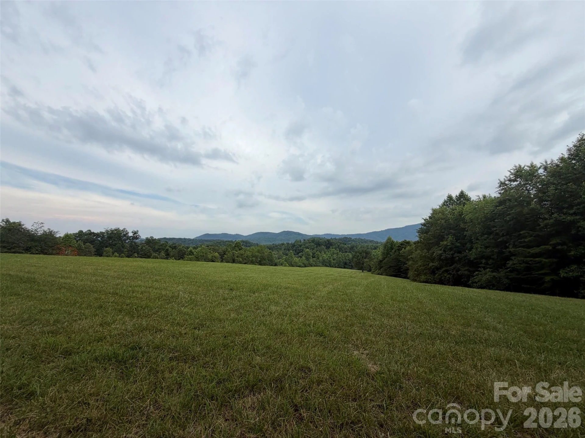 Lot 7 Parker Padgett Road - Photo 7