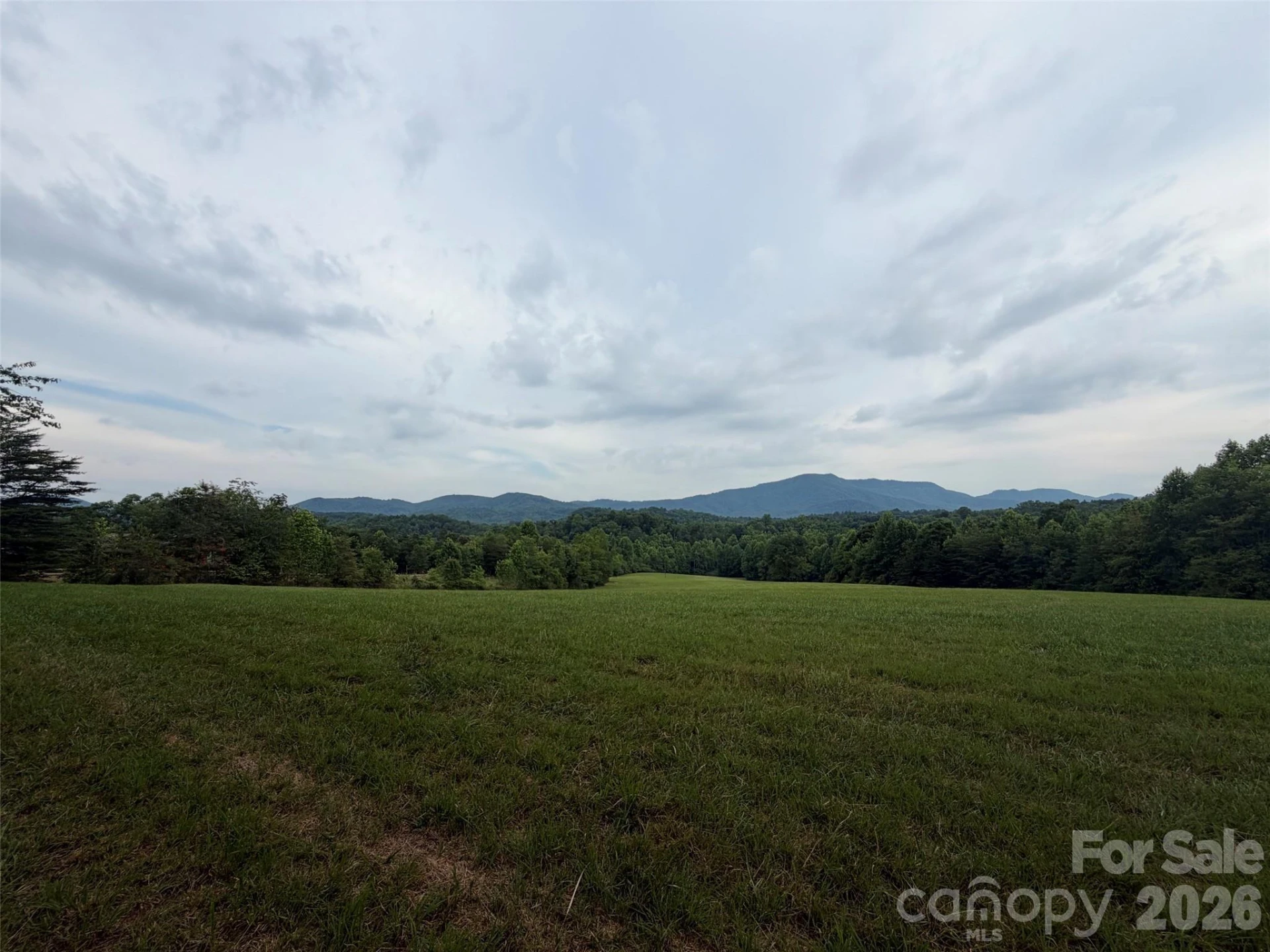 Lot 7 Parker Padgett Road - Photo 8