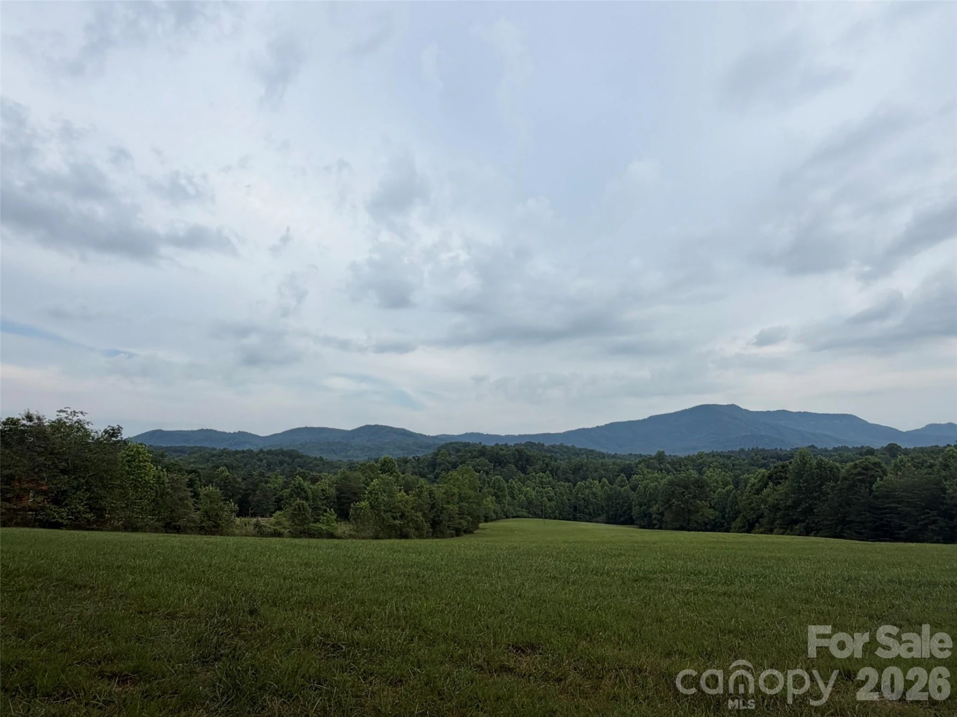 Lot 7 Parker Padgett Road - Photo 9