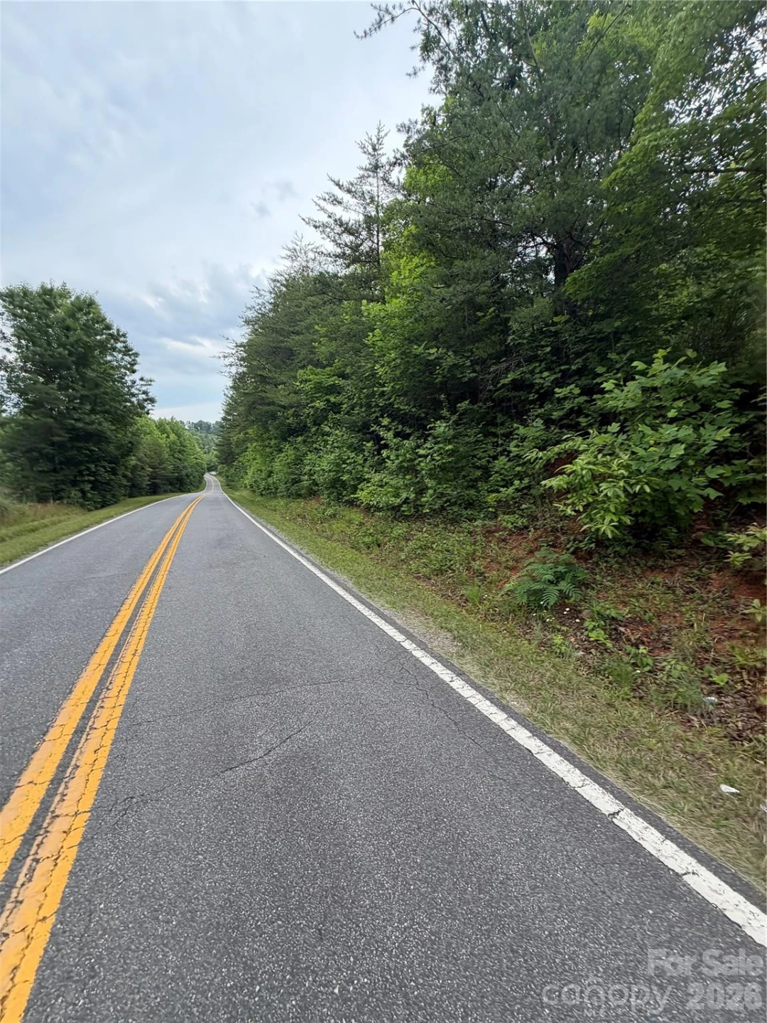 Lot 9 Parker Padgett Road - Photo 2