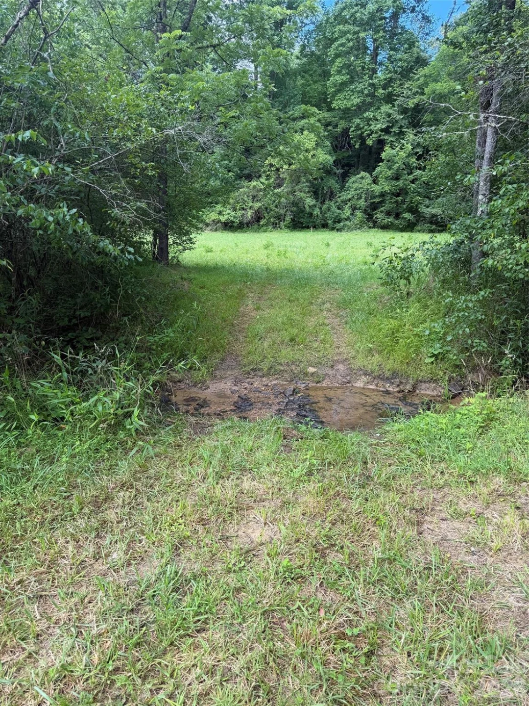 Lot 10 Parker Padgett Road - Photo 4