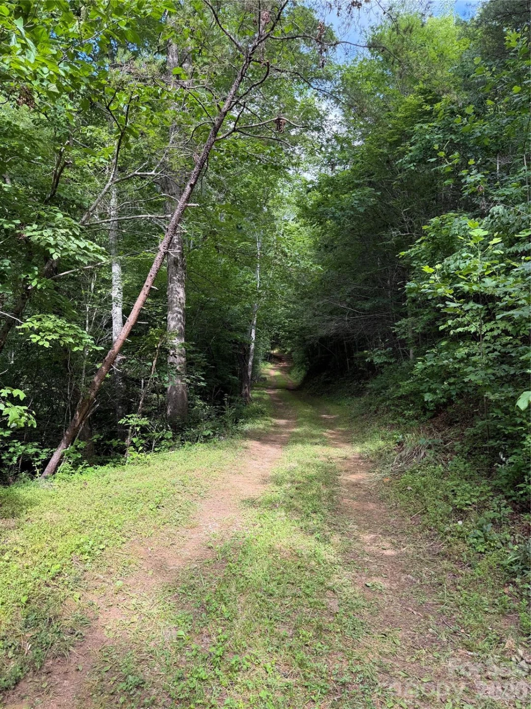 Lot 10 Parker Padgett Road - Photo 6
