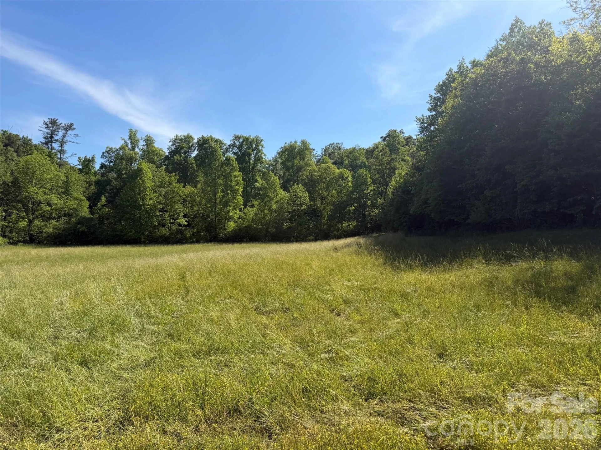 Lot 11 Parker Padgett Road - Photo 2
