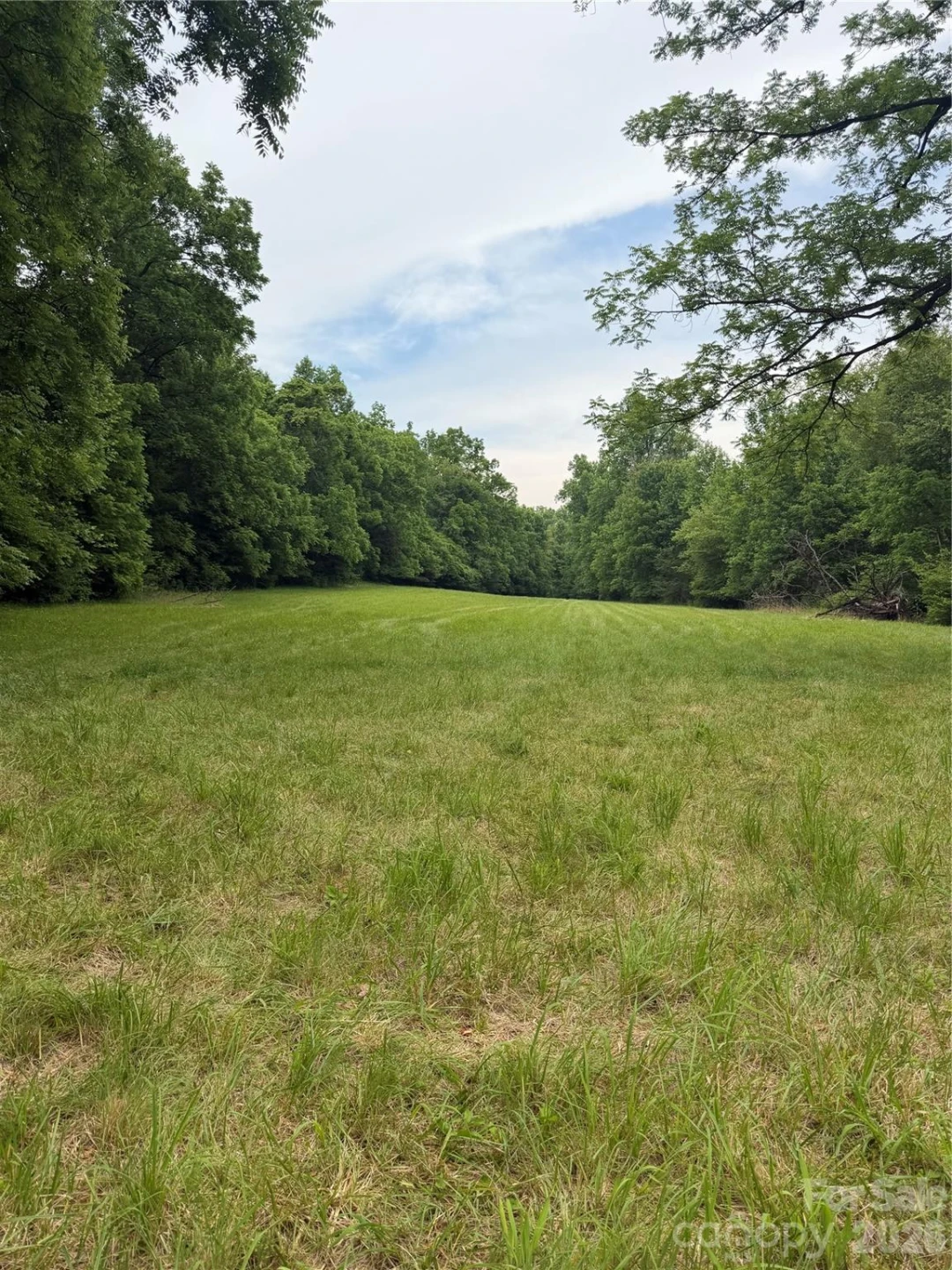 Lot 11 Parker Padgett Road - Photo 4