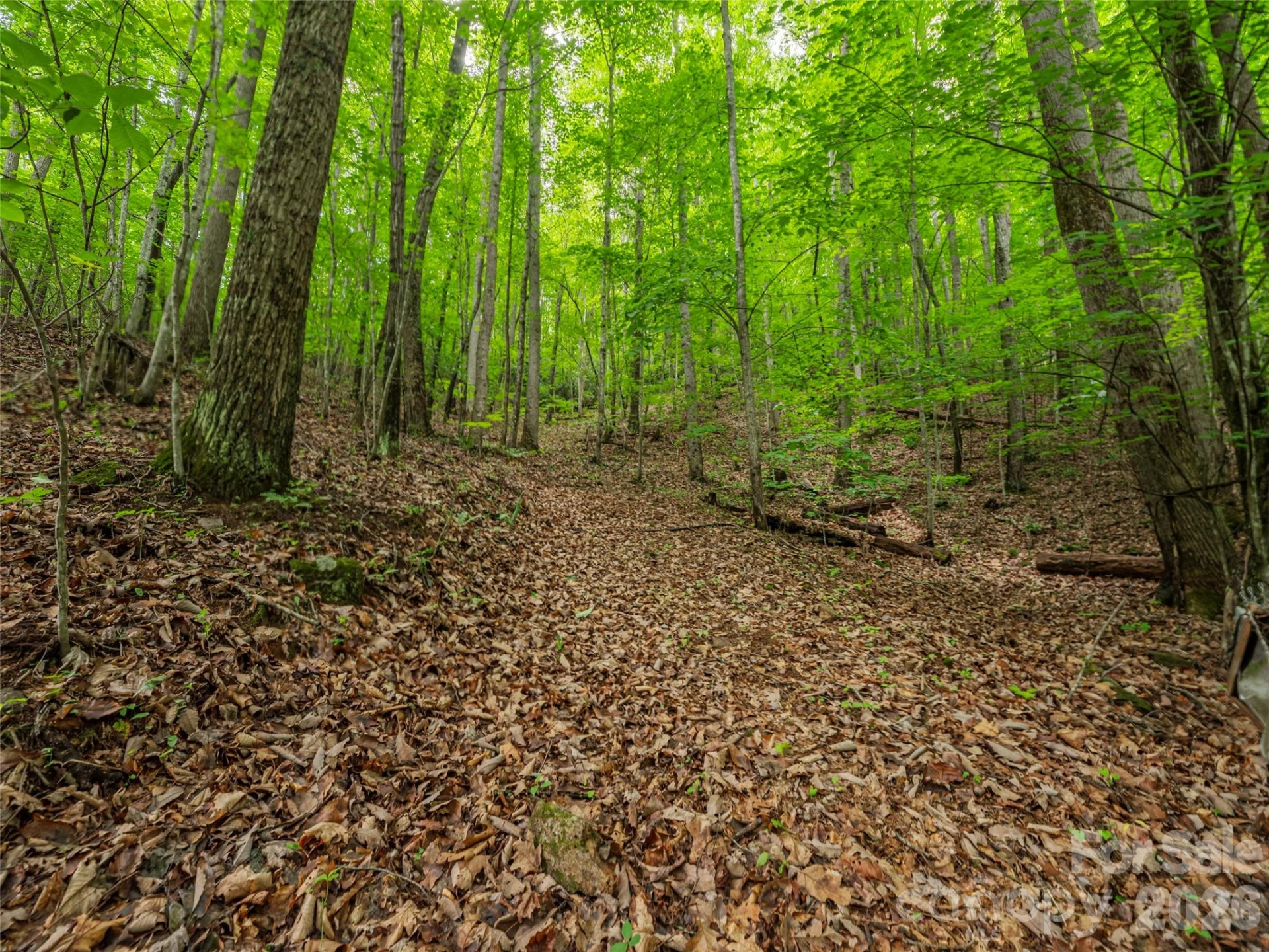 68 Long Ridge Road - Photo 4