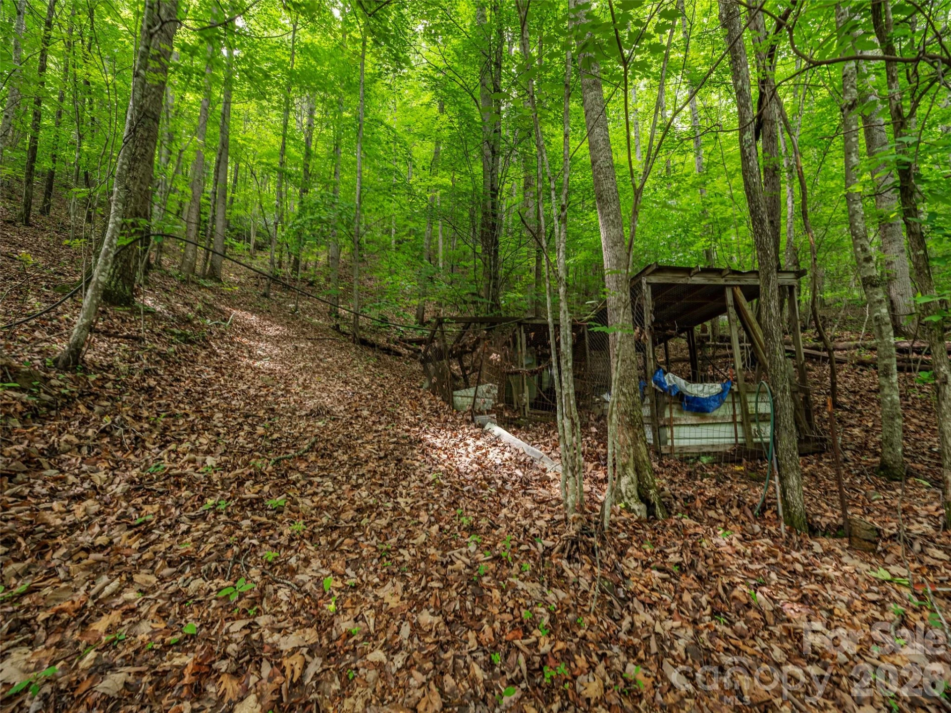 68 Long Ridge Road - Photo 6