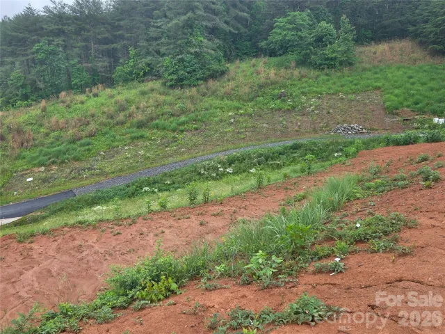 248 Big Branch Drive, Mars Hill, NC, 28754