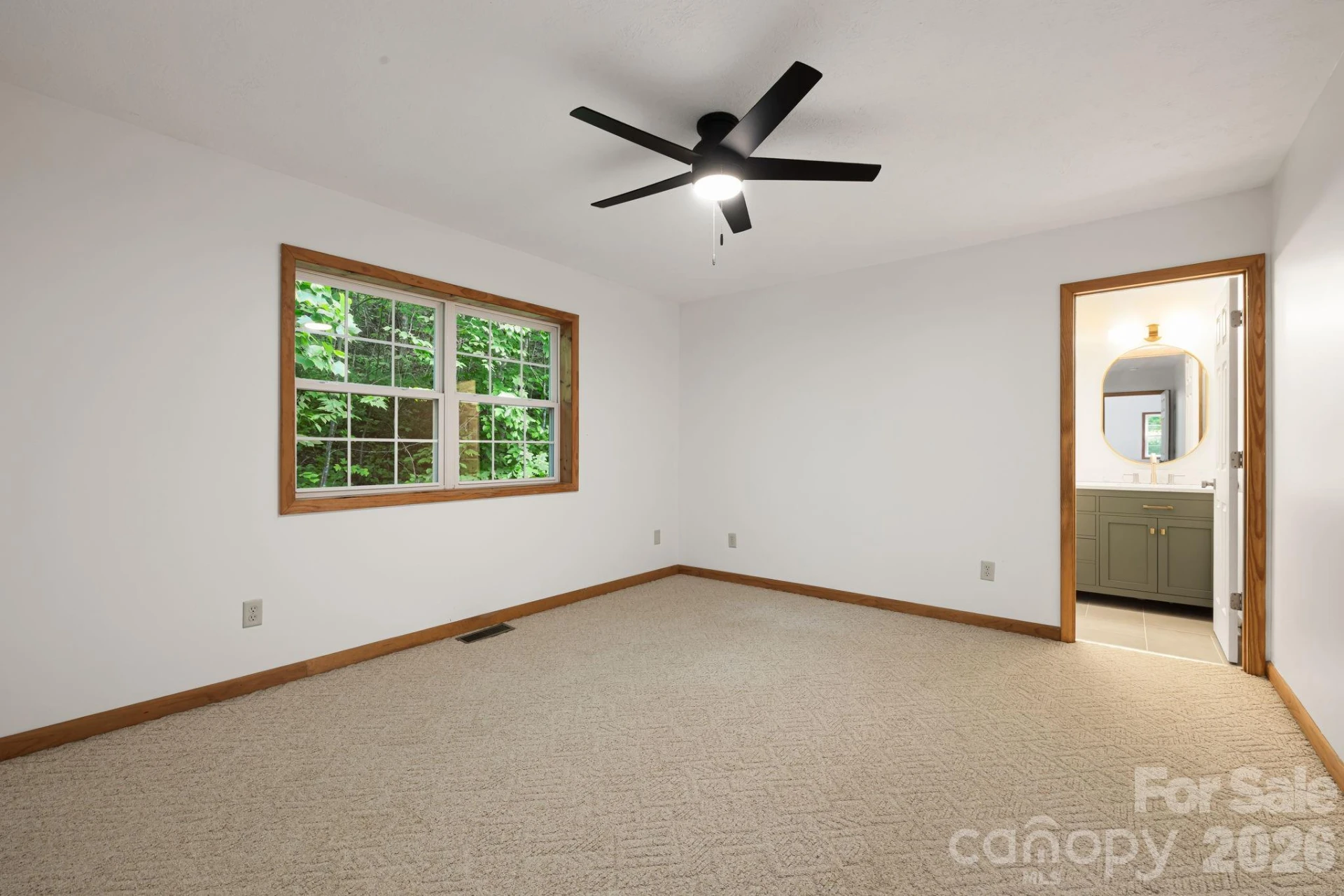 100 Woven Cloud Lane - Photo 12