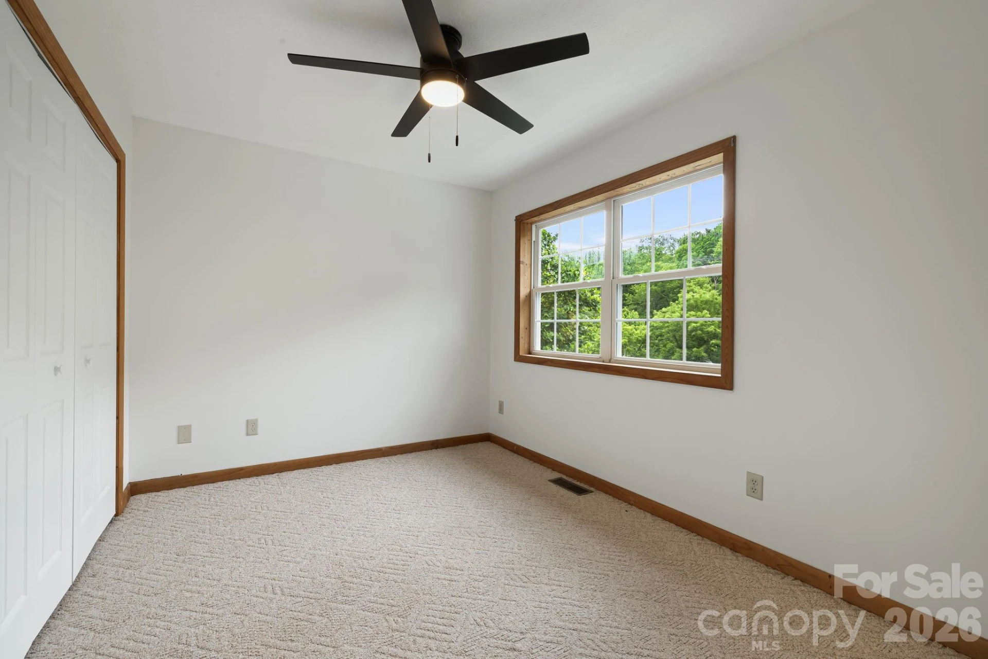 100 Woven Cloud Lane - Photo 16