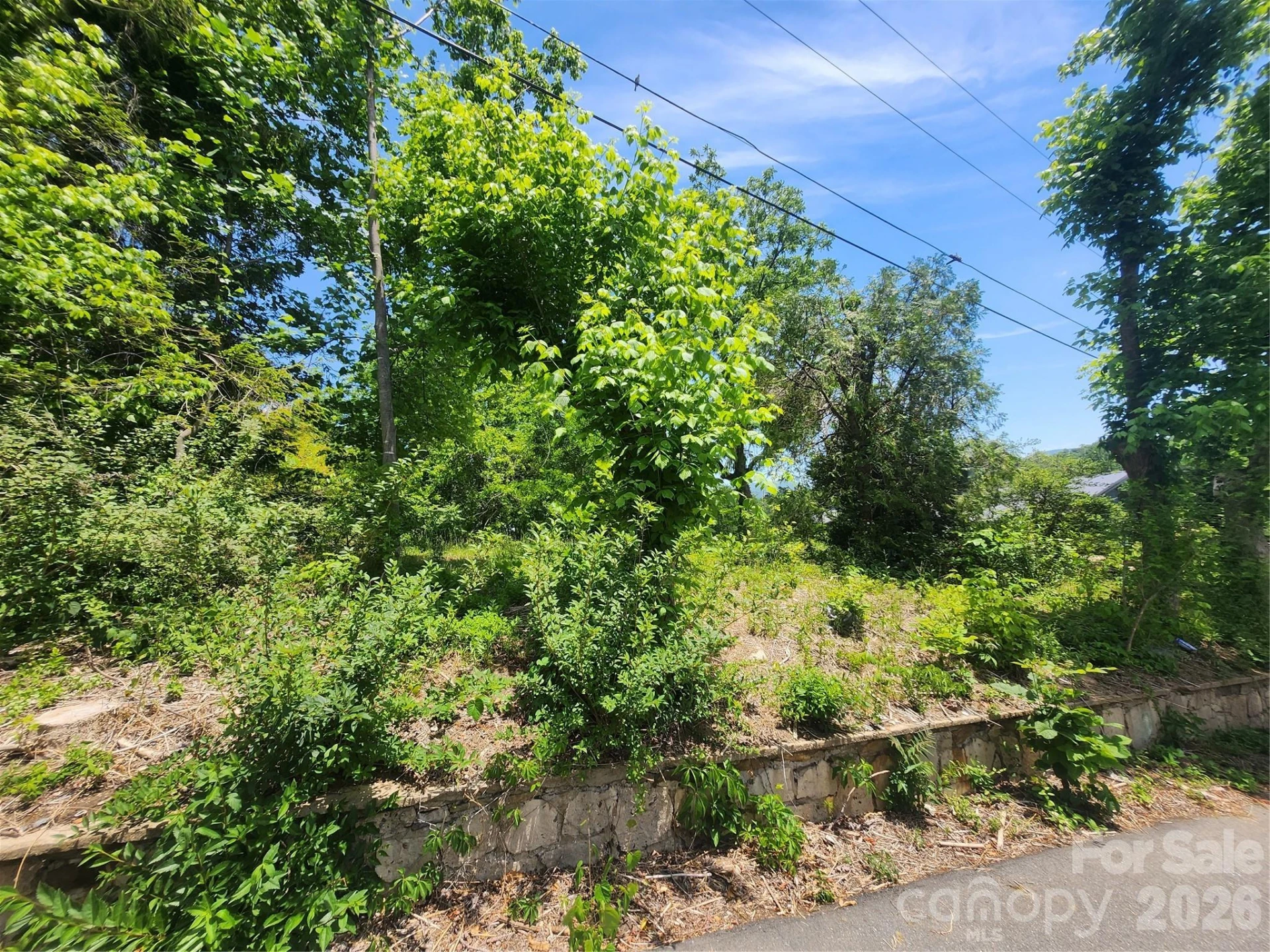 11 Weaver Hill Road - Photo 4